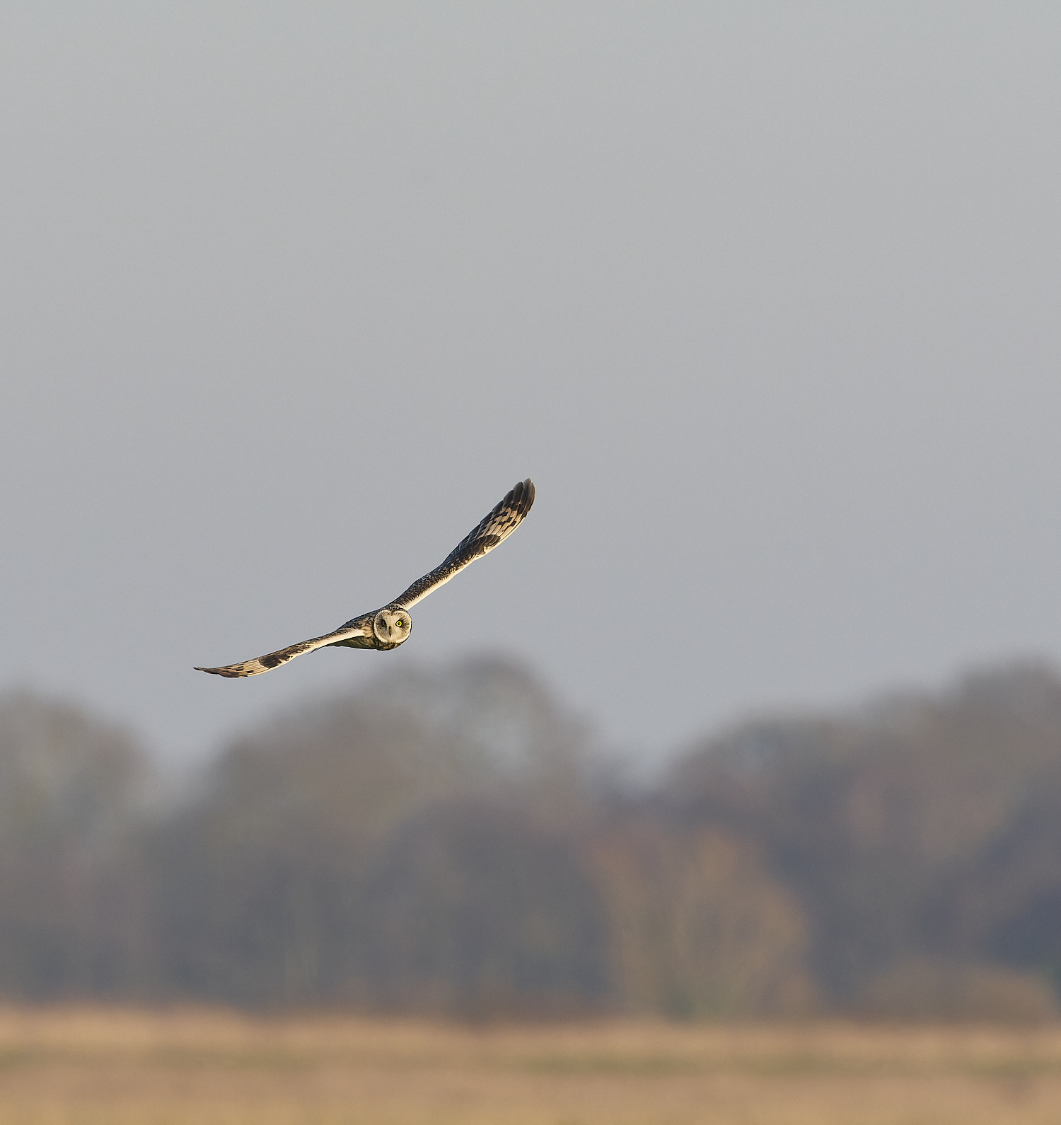 StBenet&#39;sAbbeySEO020225-13