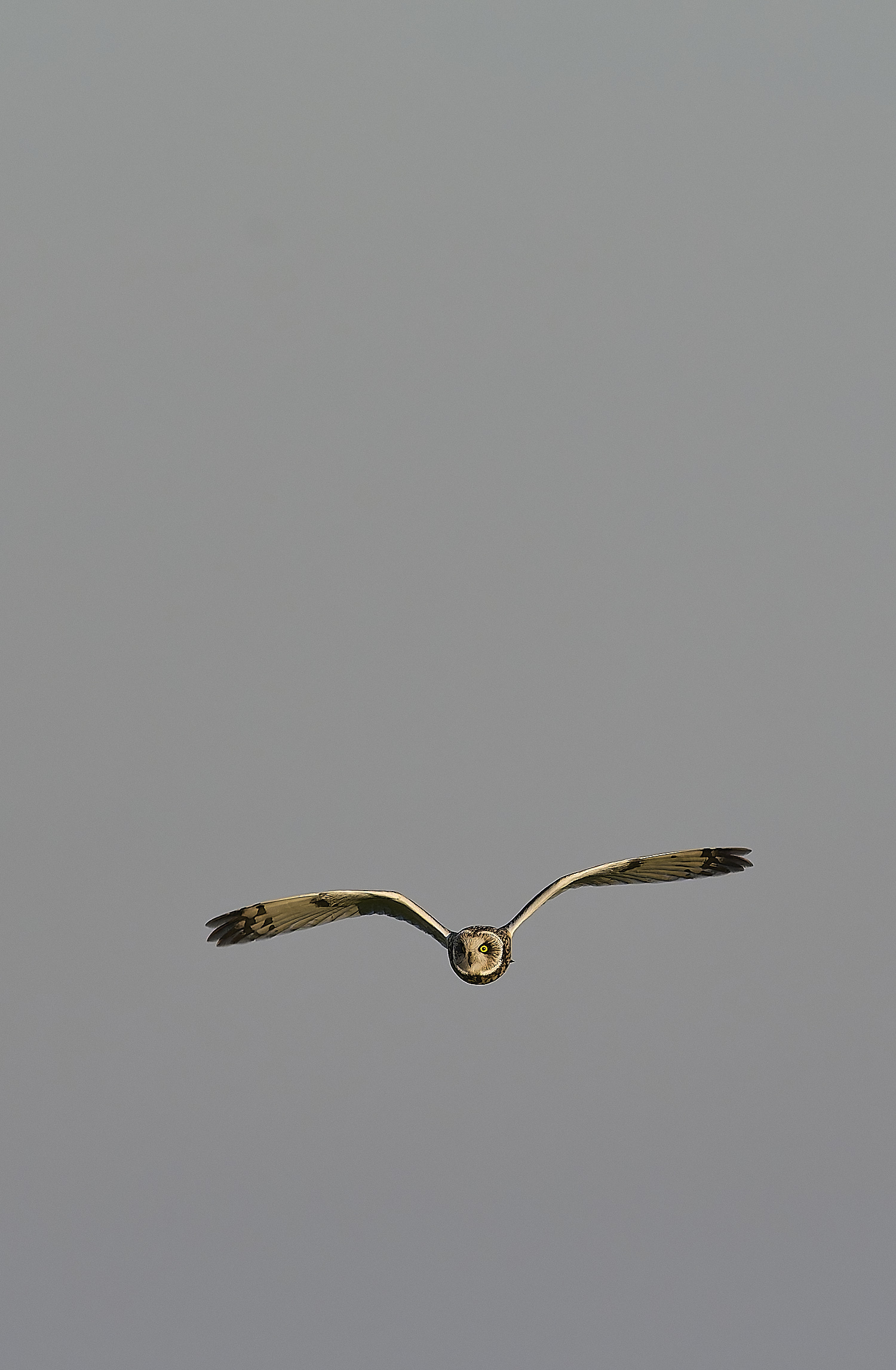 StBenet&#39;sAbbeySEO020225-14