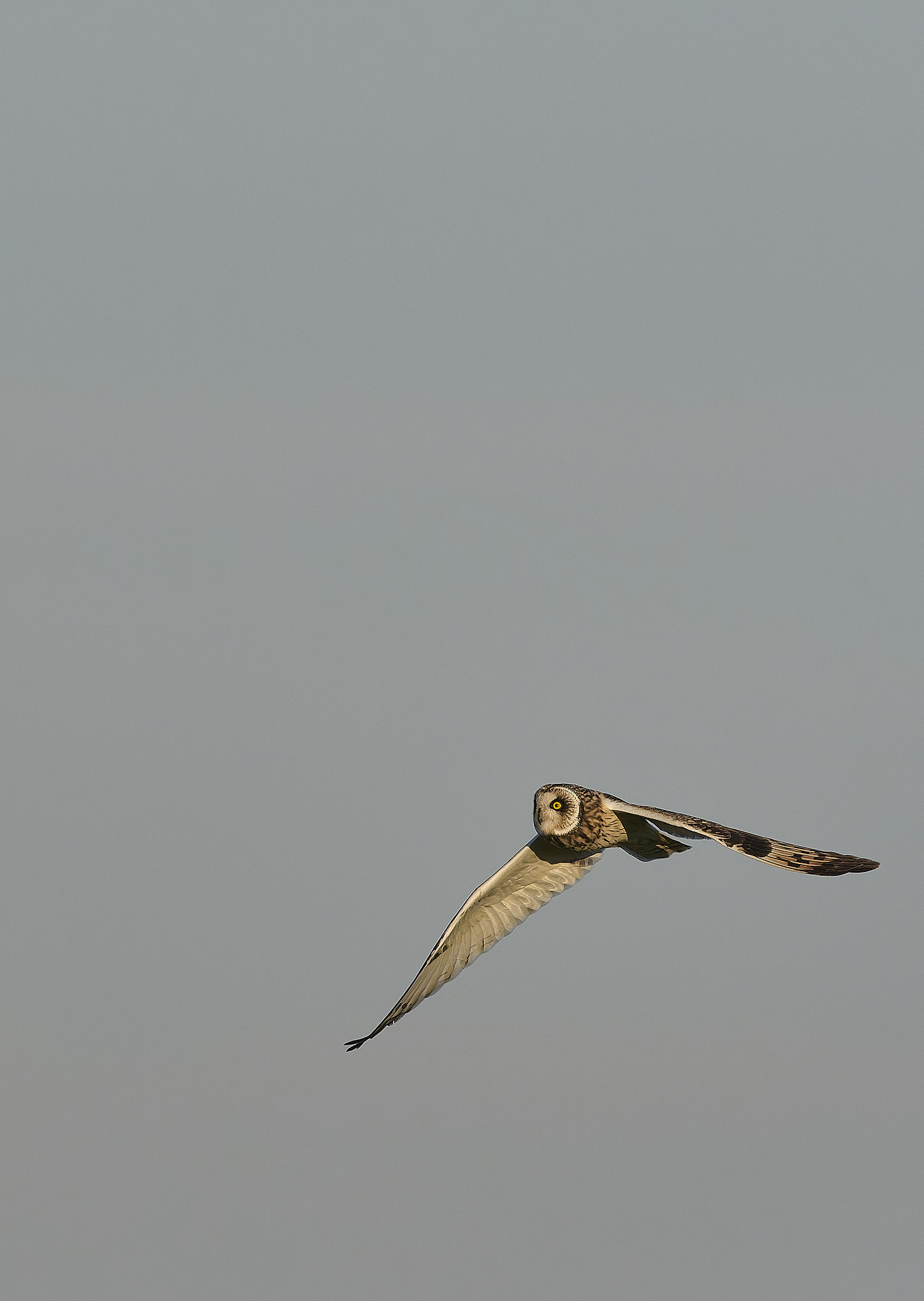 StBenet&#39;sAbbeySEO020225-15