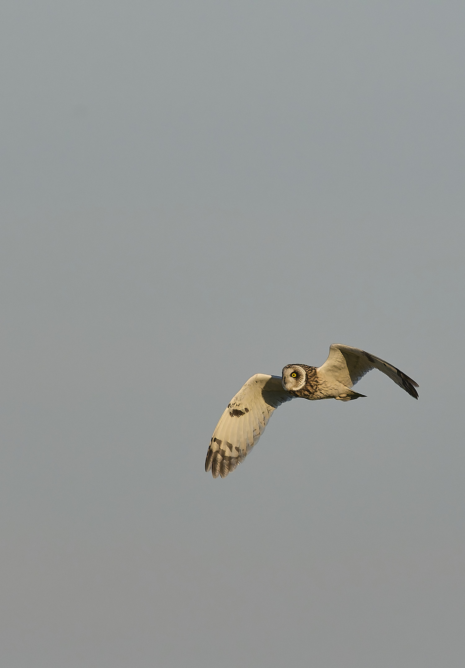 StBenet&#39;sAbbeySEO020225-16