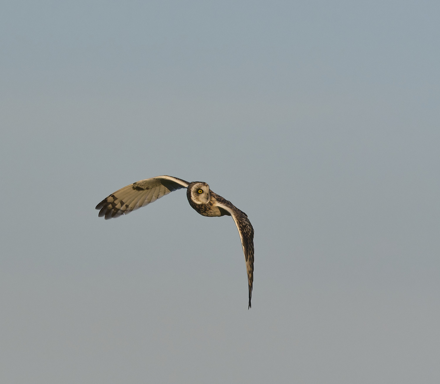 StBenet&#39;sAbbeySEO020225-19 3