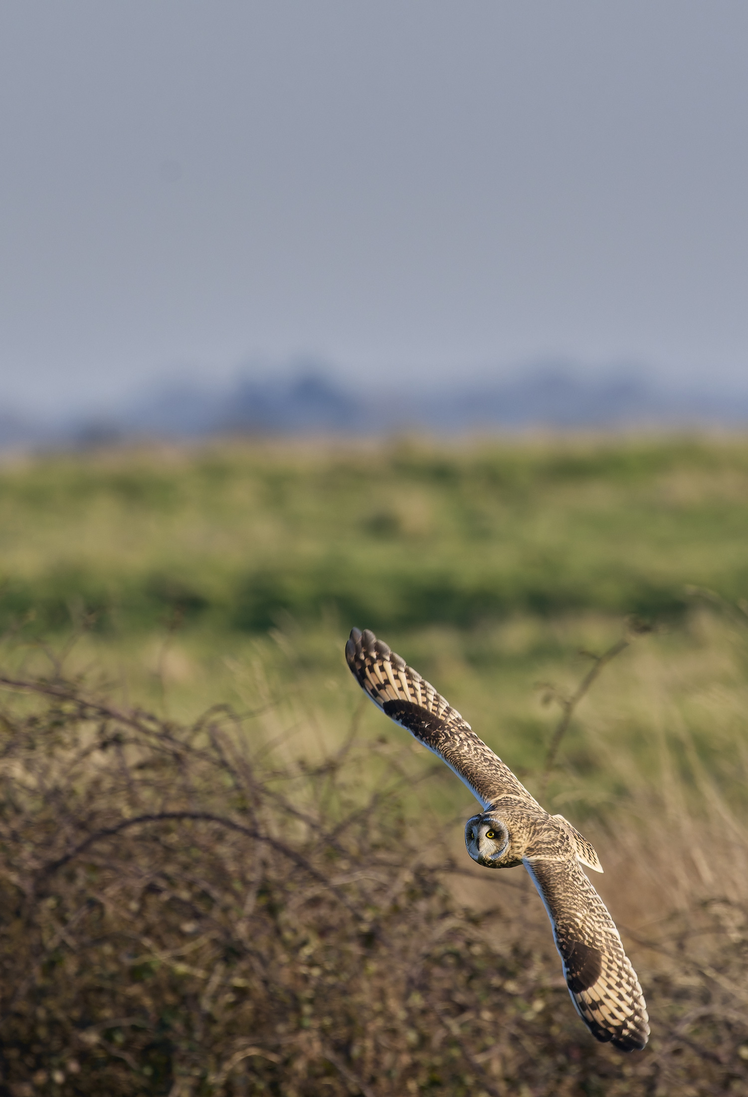 StBenet&#39;sAbbeySEO020225-2