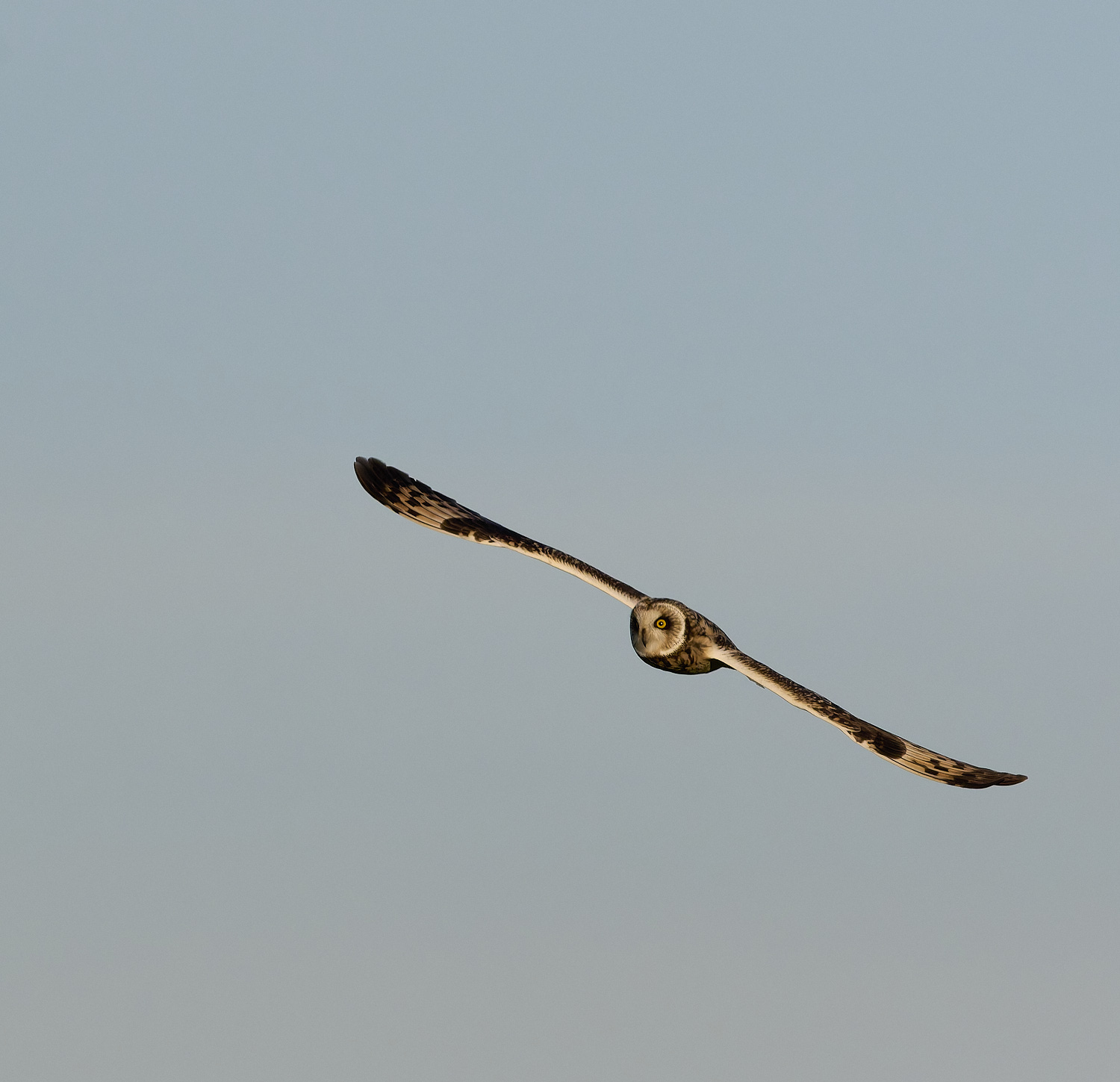 StBenet&#39;sAbbeySEO020225-20 2