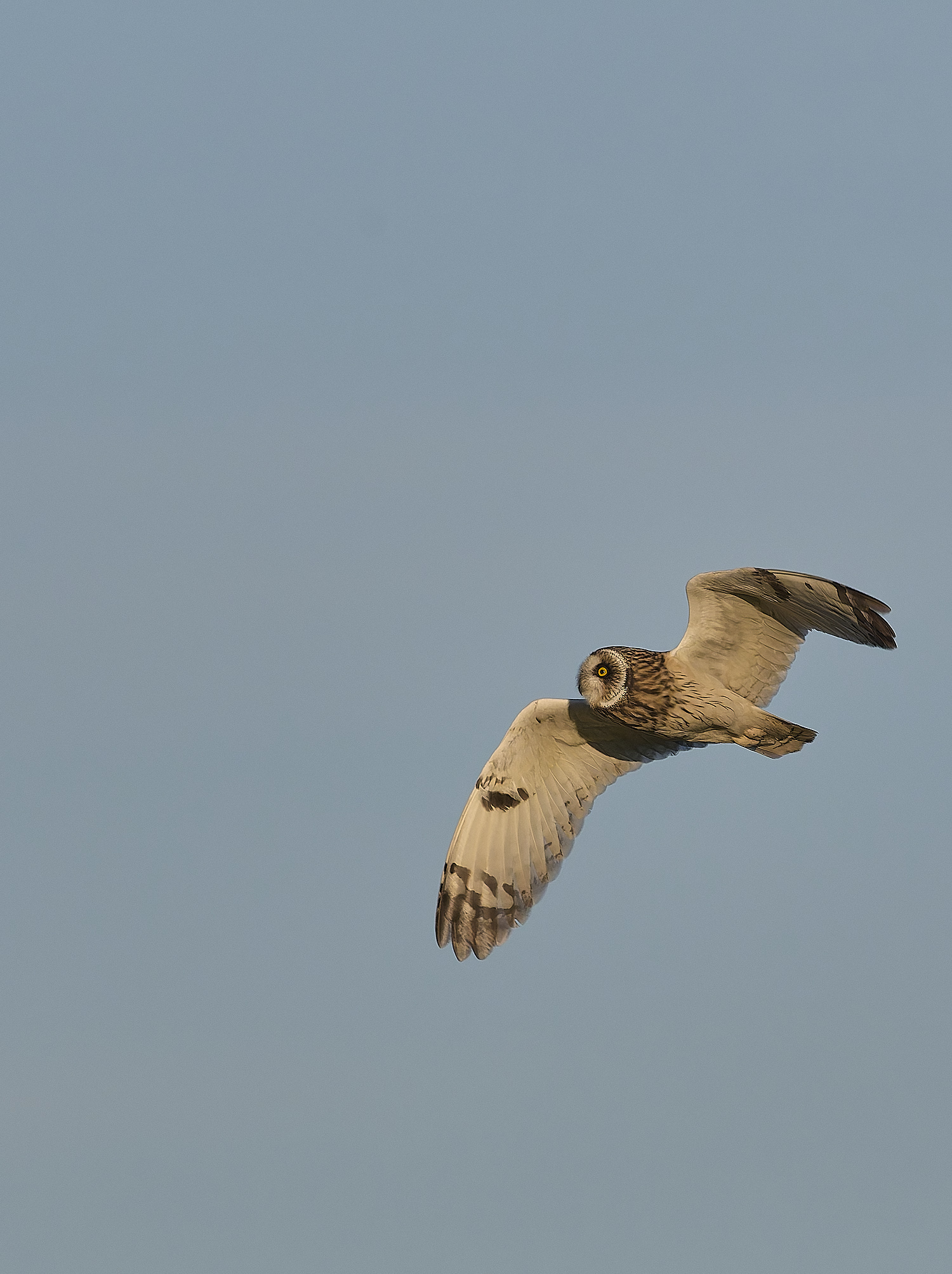 StBenet&#39;sAbbeySEO020225-21