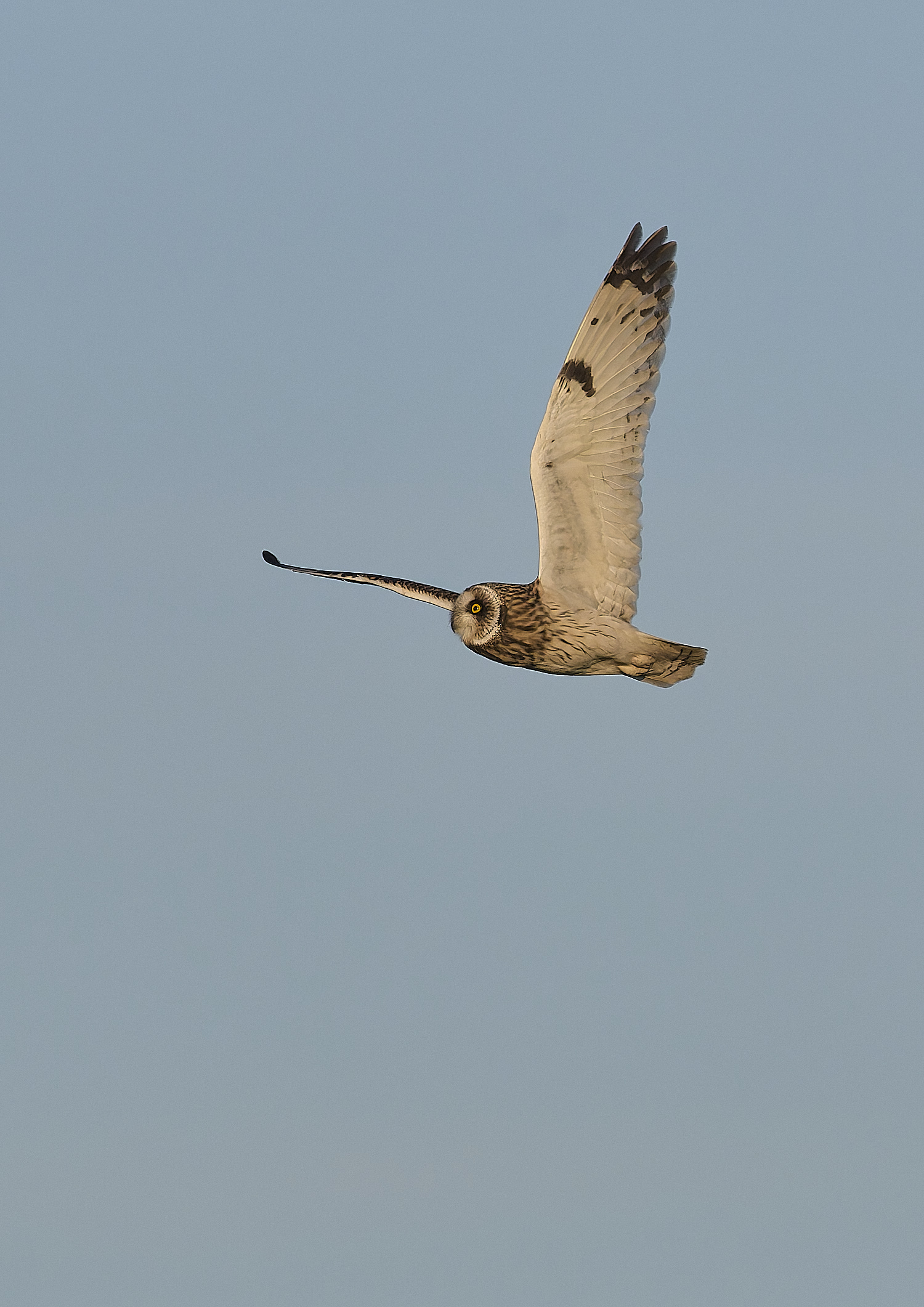 StBenet&#39;sAbbeySEO020225-22