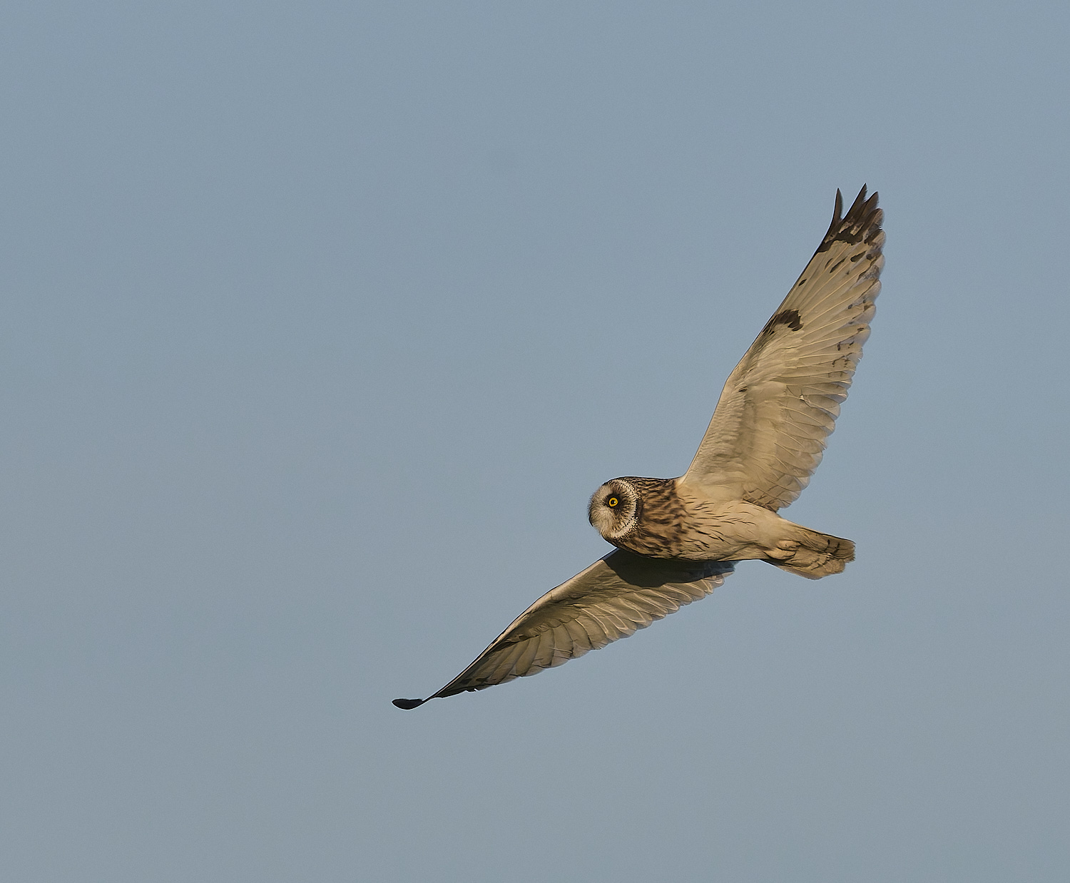 StBenet&#39;sAbbeySEO020225-23 2