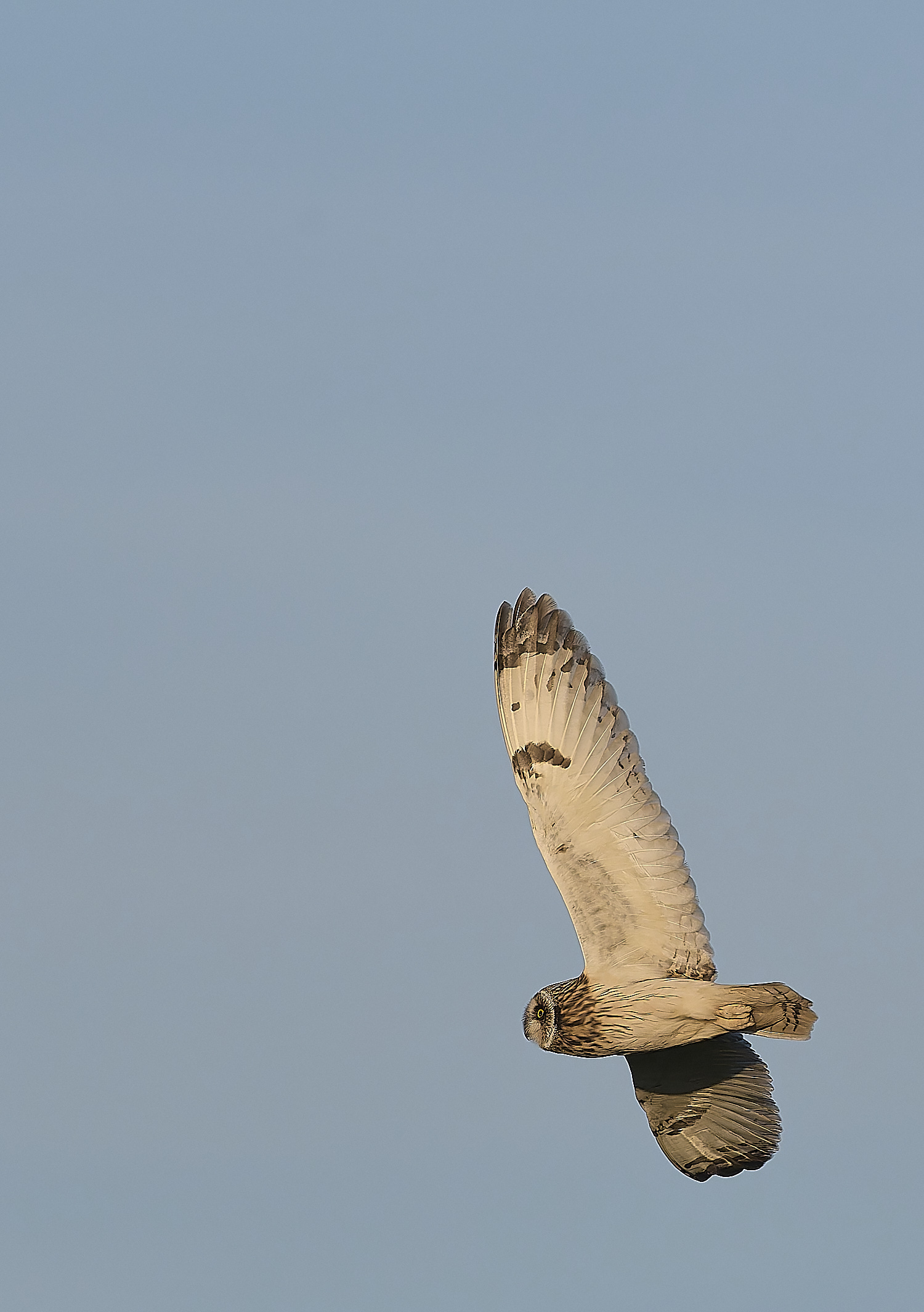 StBenet&#39;sAbbeySEO020225-24