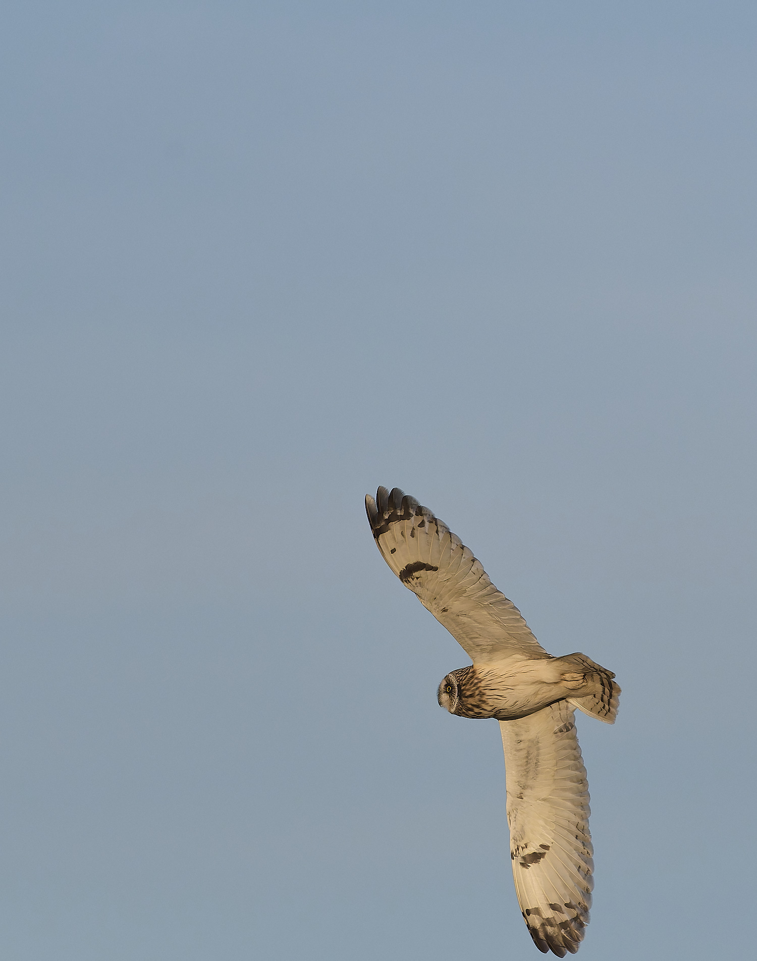 StBenet&#39;sAbbeySEO020225-25