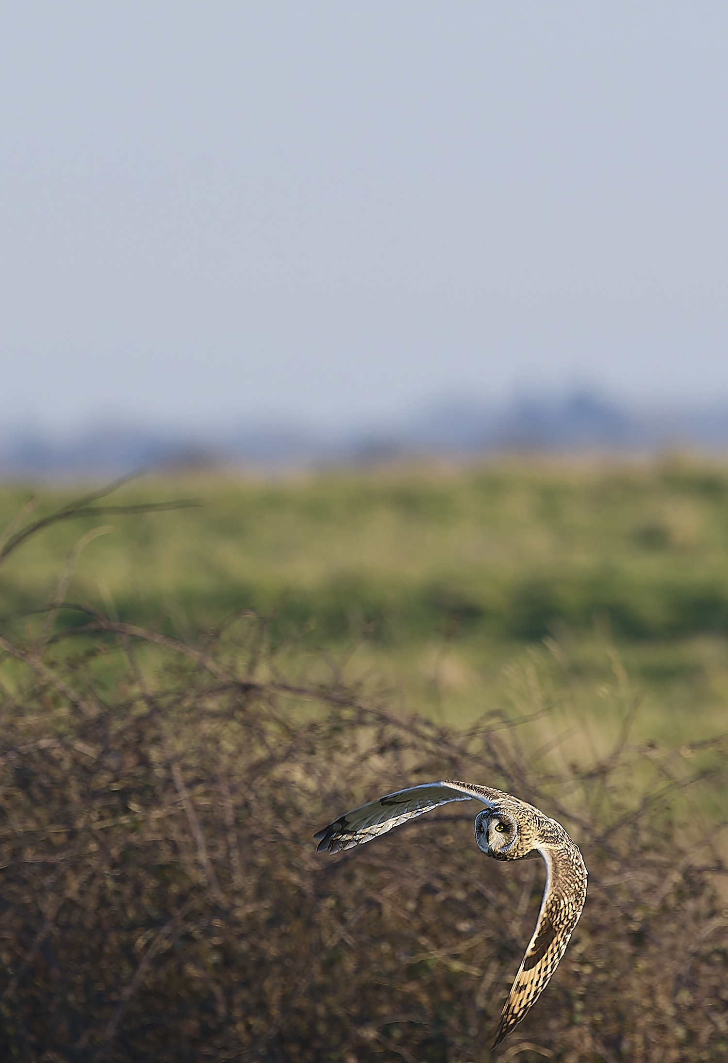 StBenet&#39;sAbbeySEO020225-3