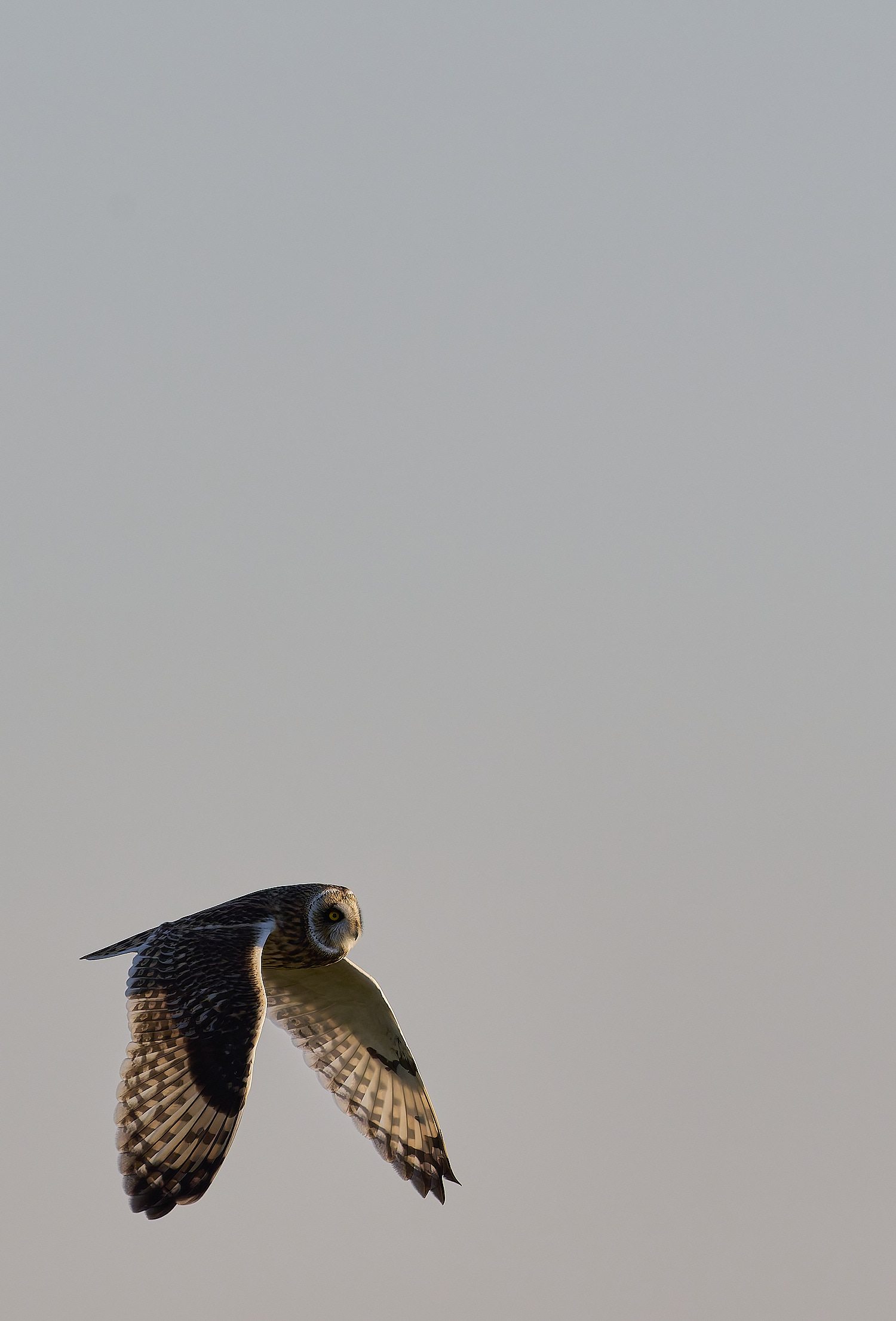 StBenet&#39;sAbbeySEO020225-5