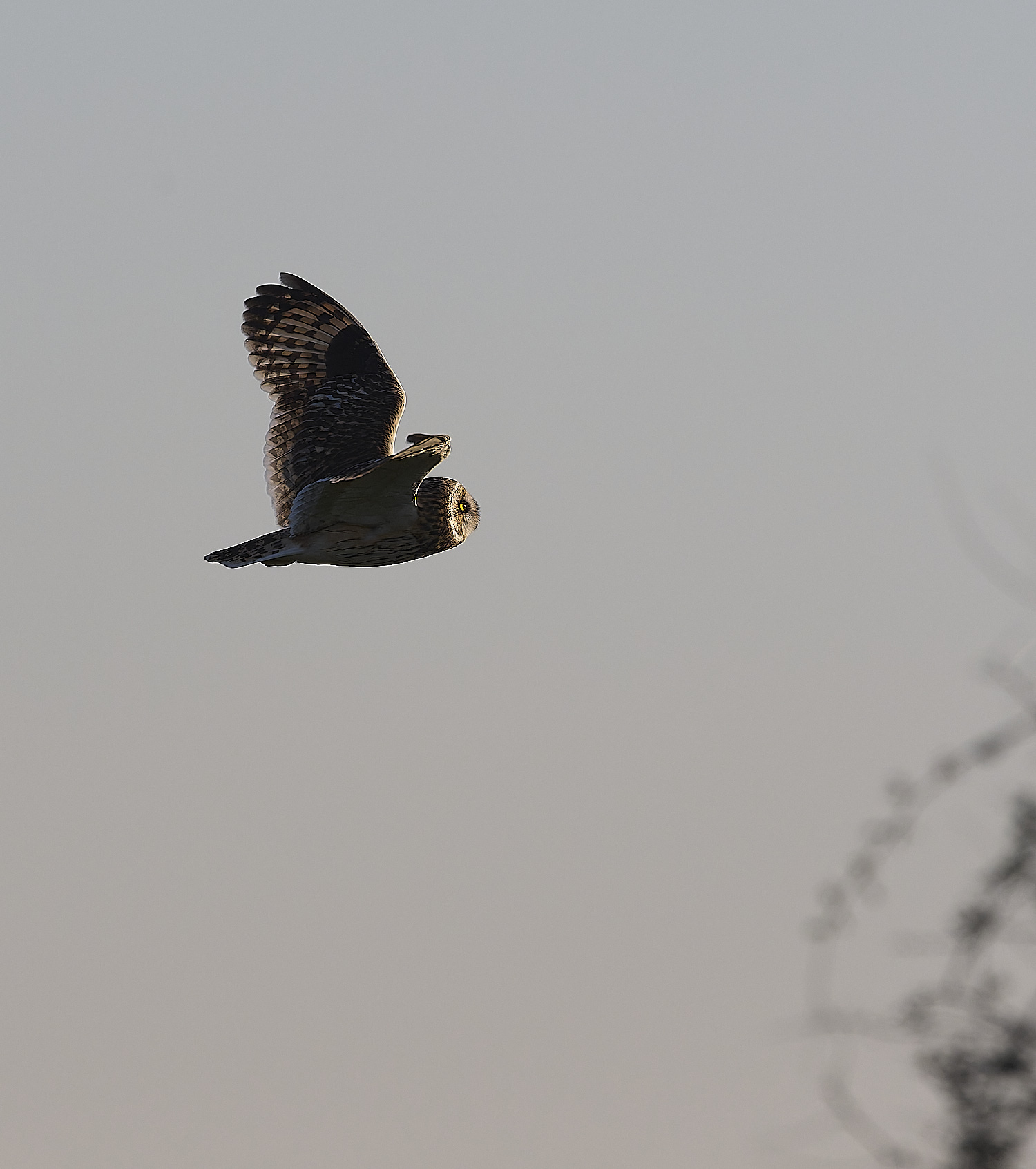 StBenet&#39;sAbbeySEO020225-6