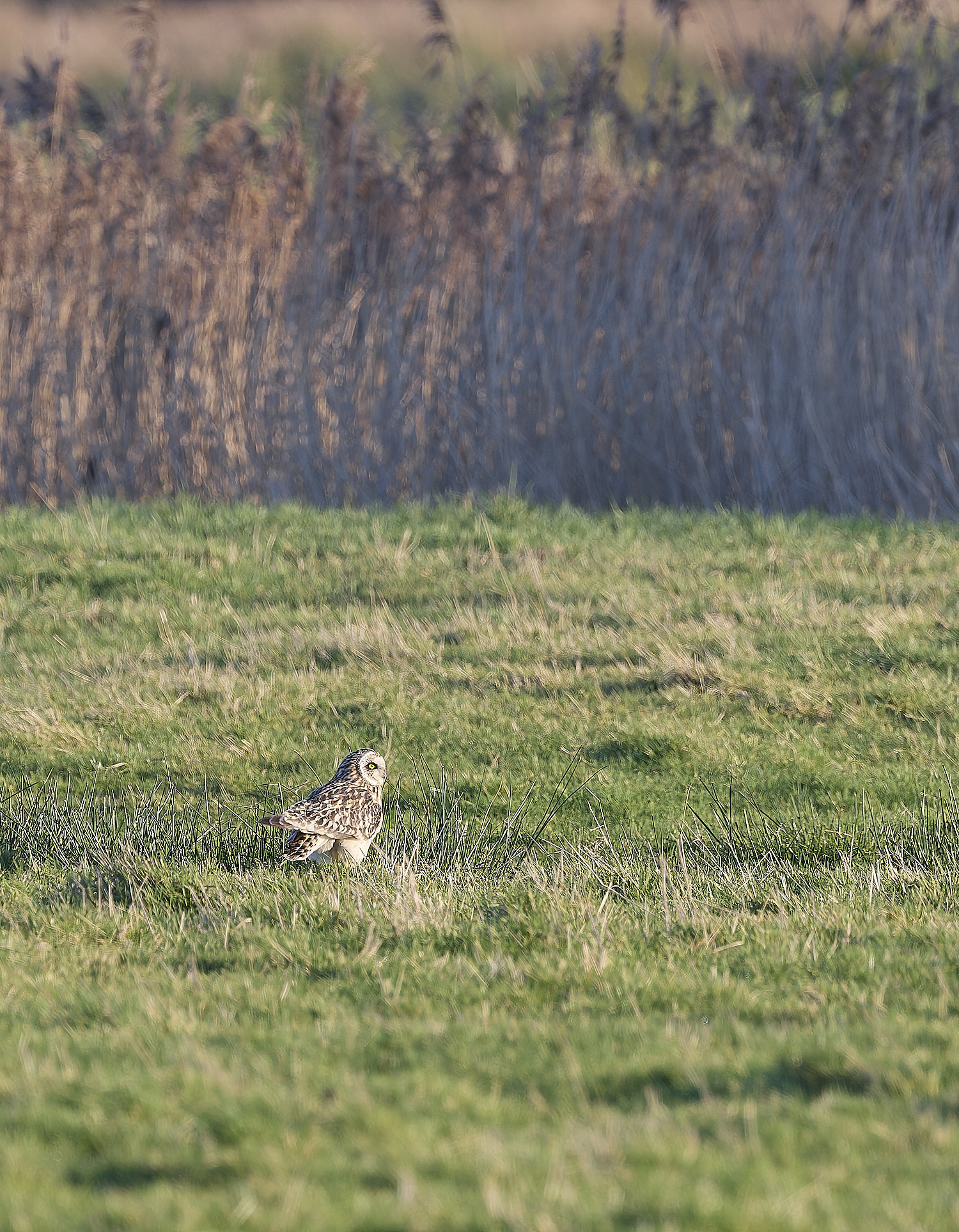 StBenet&#39;sAbbeySEO020225-8