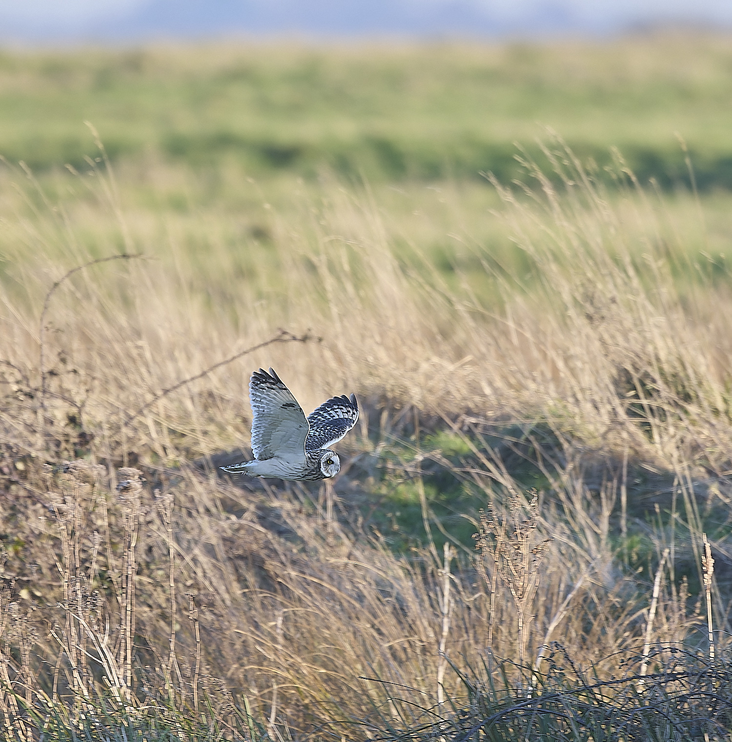 StBenet&#39;sAbbeySEO020225-9