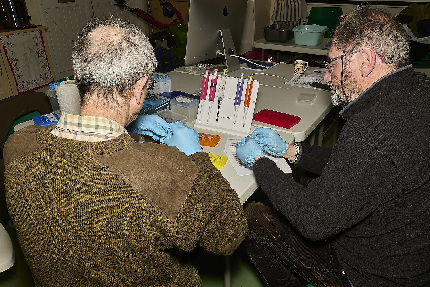 WheatfenDNA110325-10