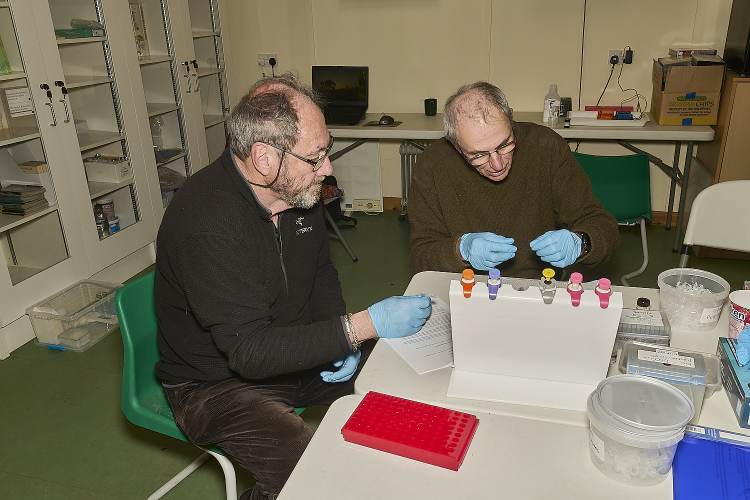 WheatfenDNA110325-11