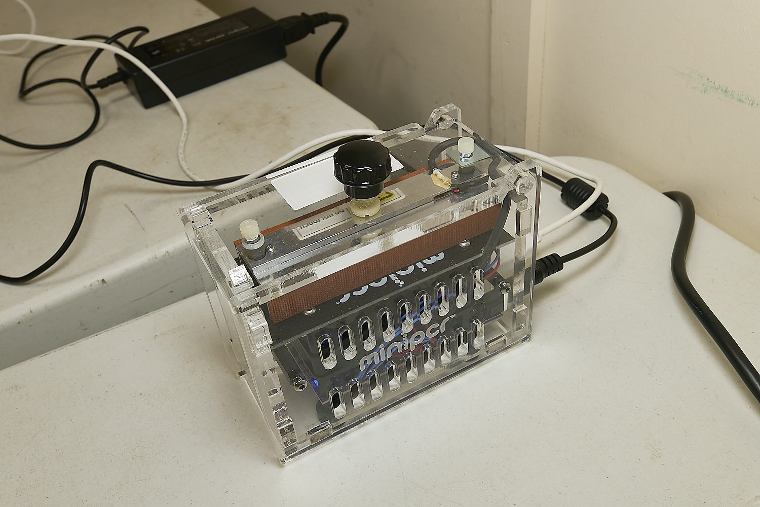 WheatfenDNA110325-12