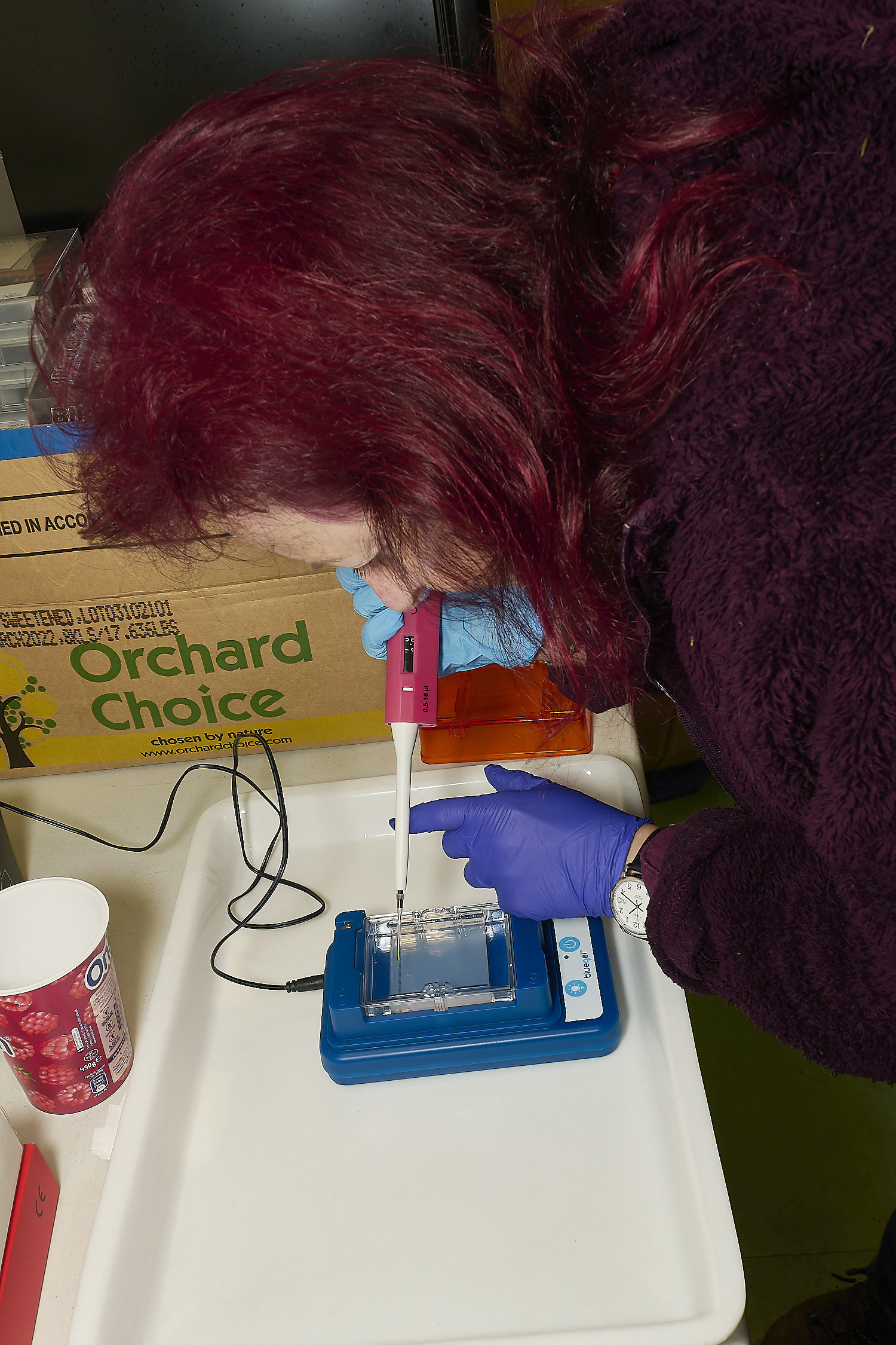 WheatfenDNA110325-15