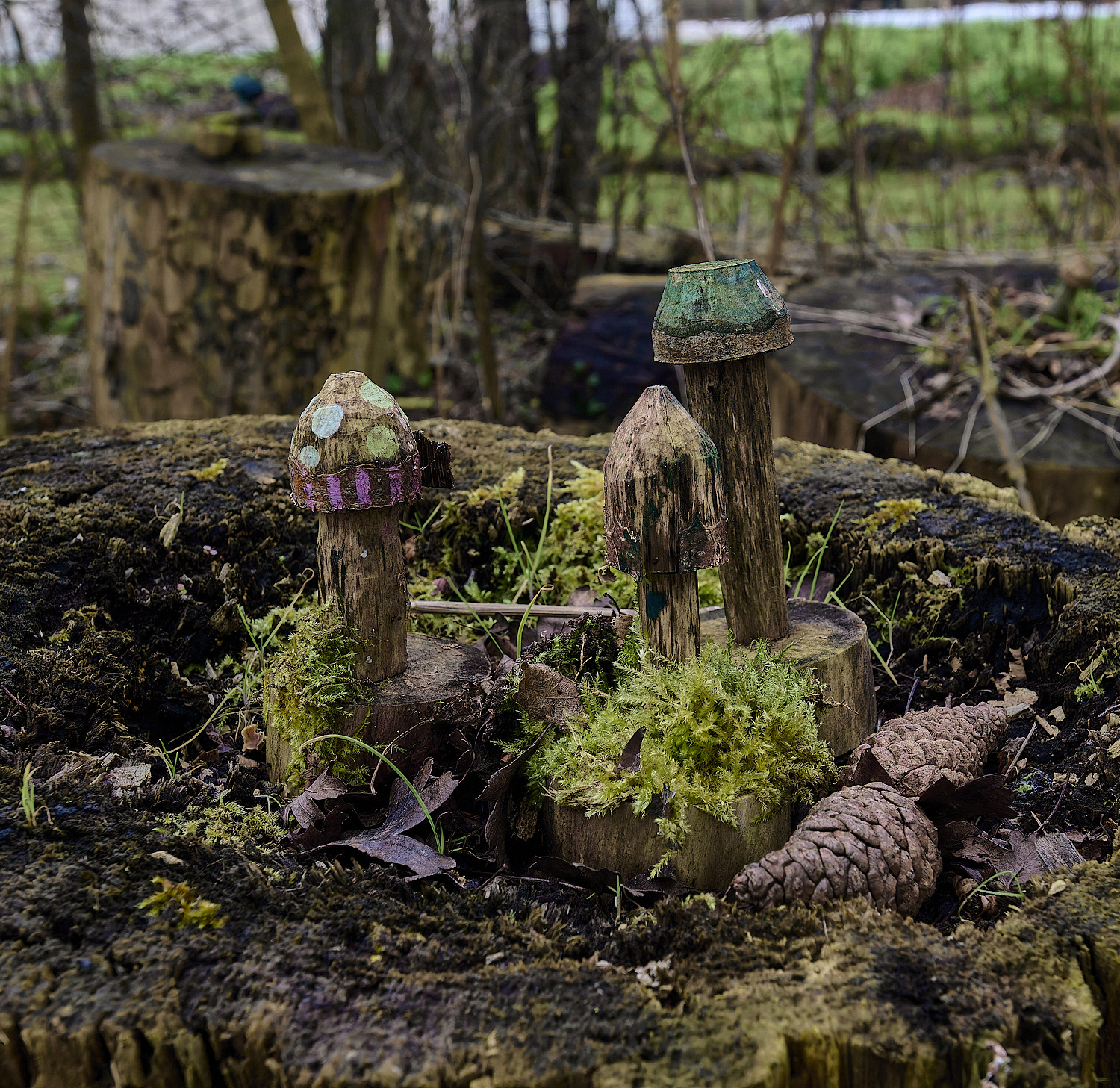 WildernessgGroveMadeShrooms230225-1