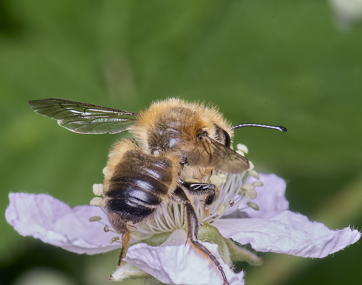 AldboroughMligniseca040625-1