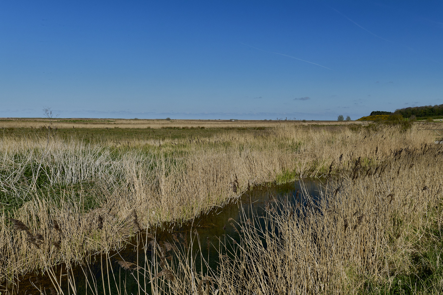 Cley070425-1