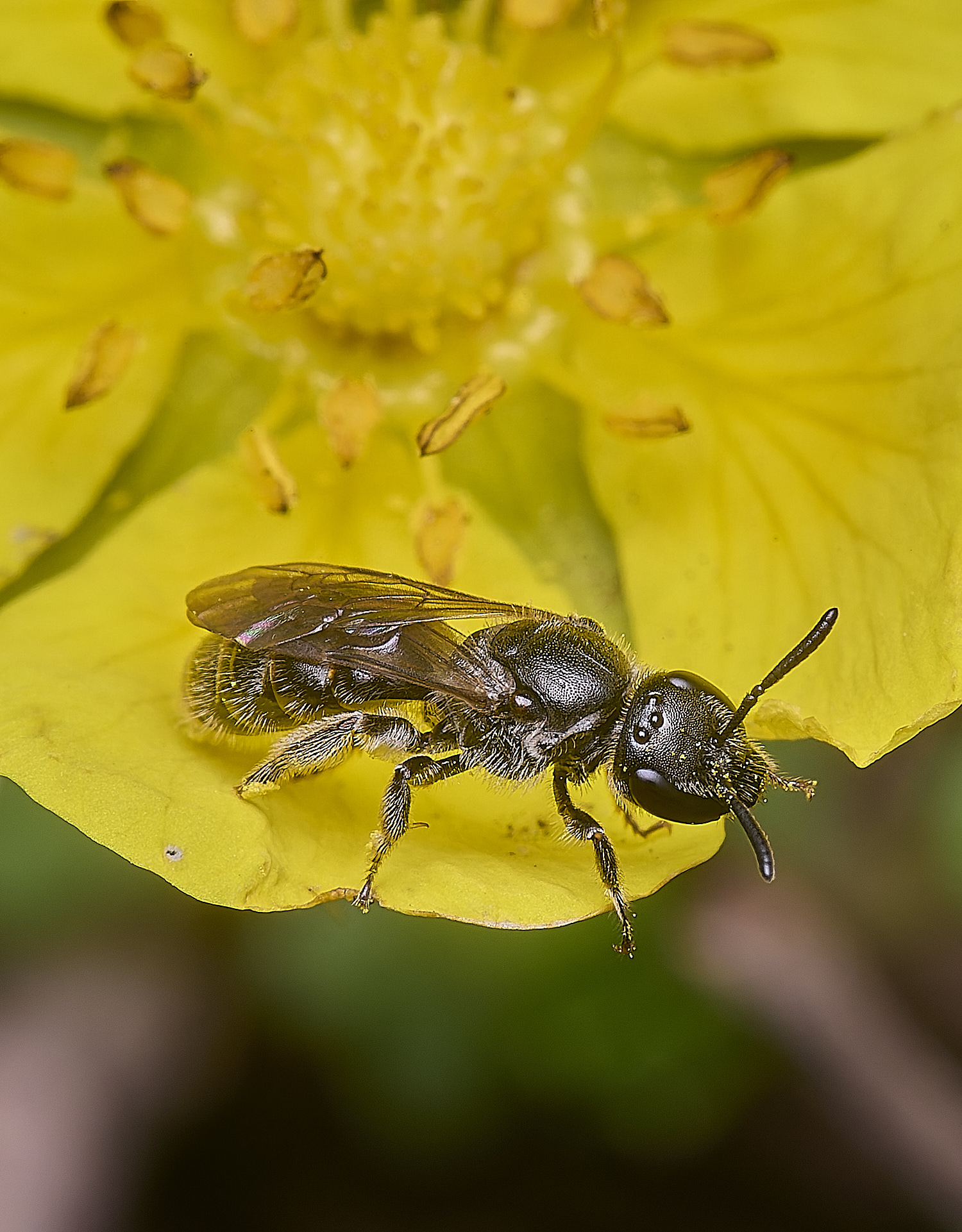 CranwichCampLmorio080625-2