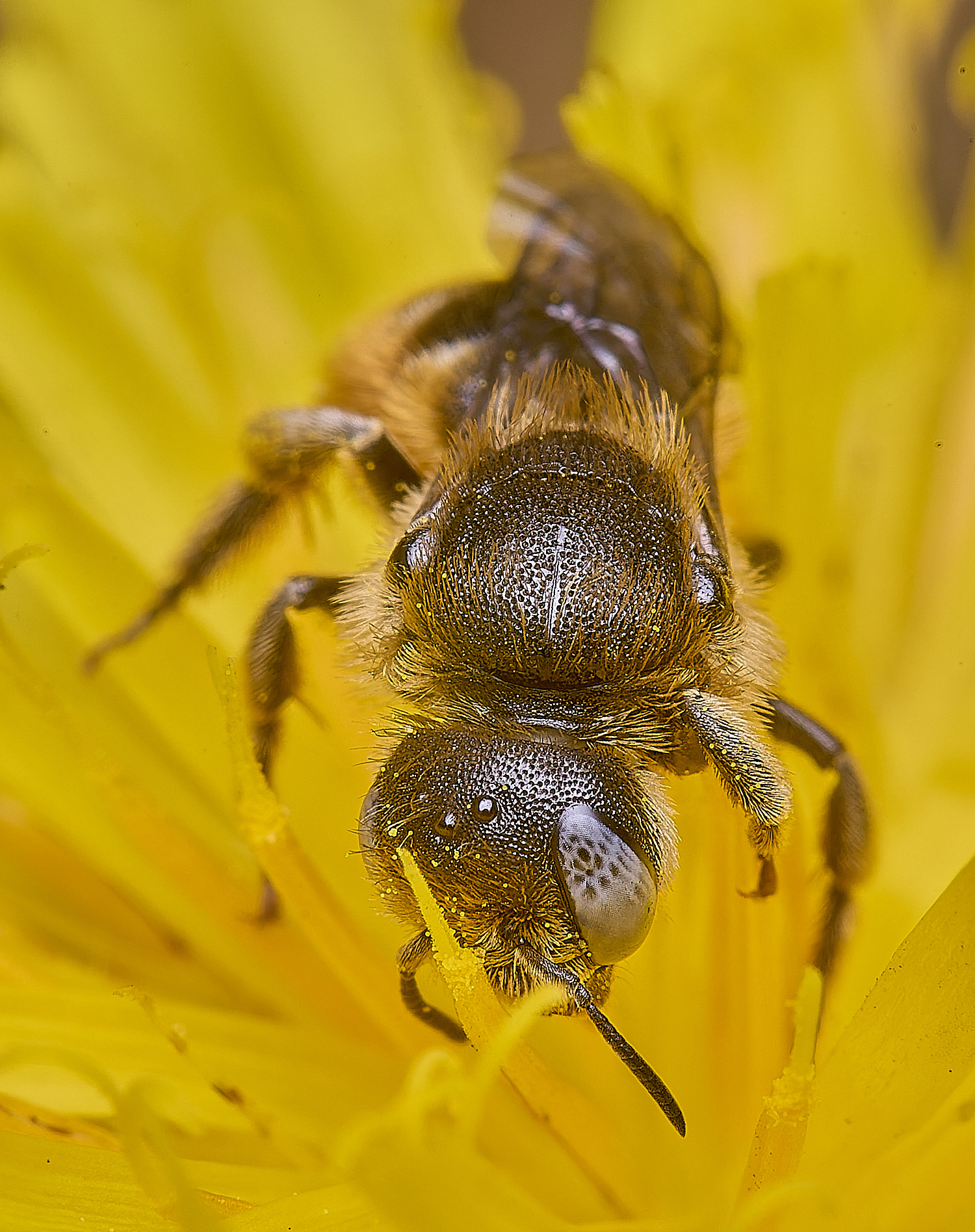 CranwichCampOspinulosa080625-7