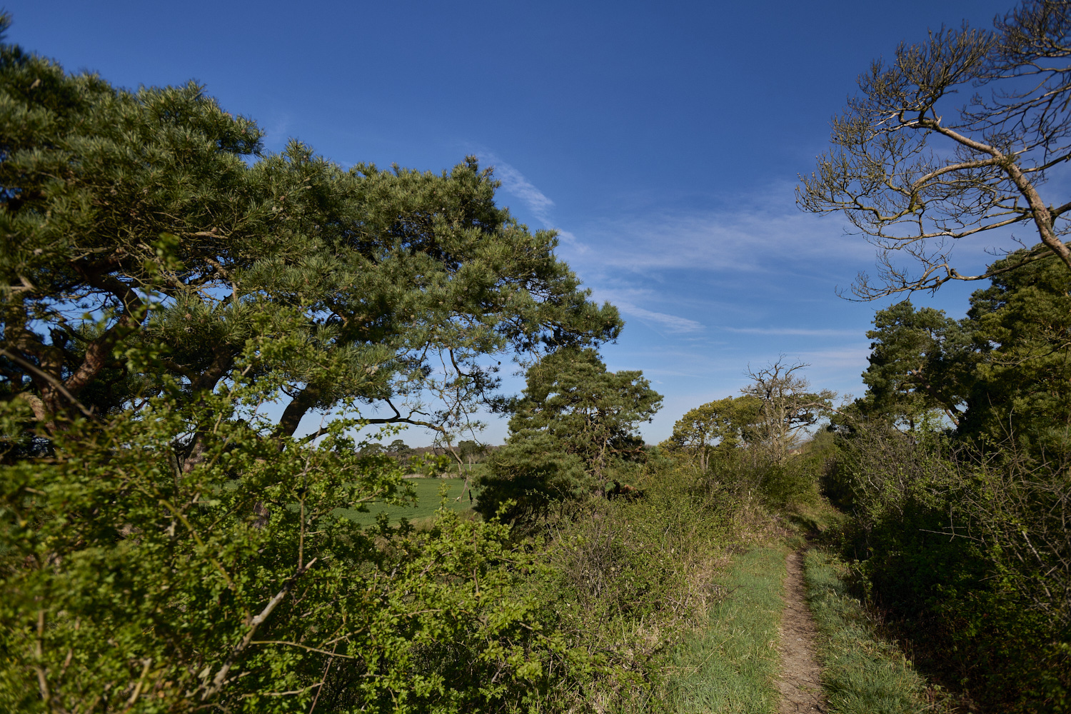 Devil&#39;sDyke140425-1