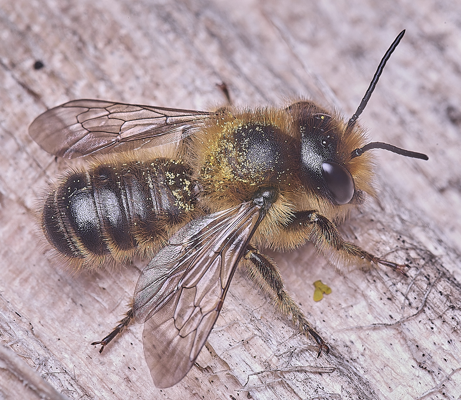 HanworthMligneseca280525-1