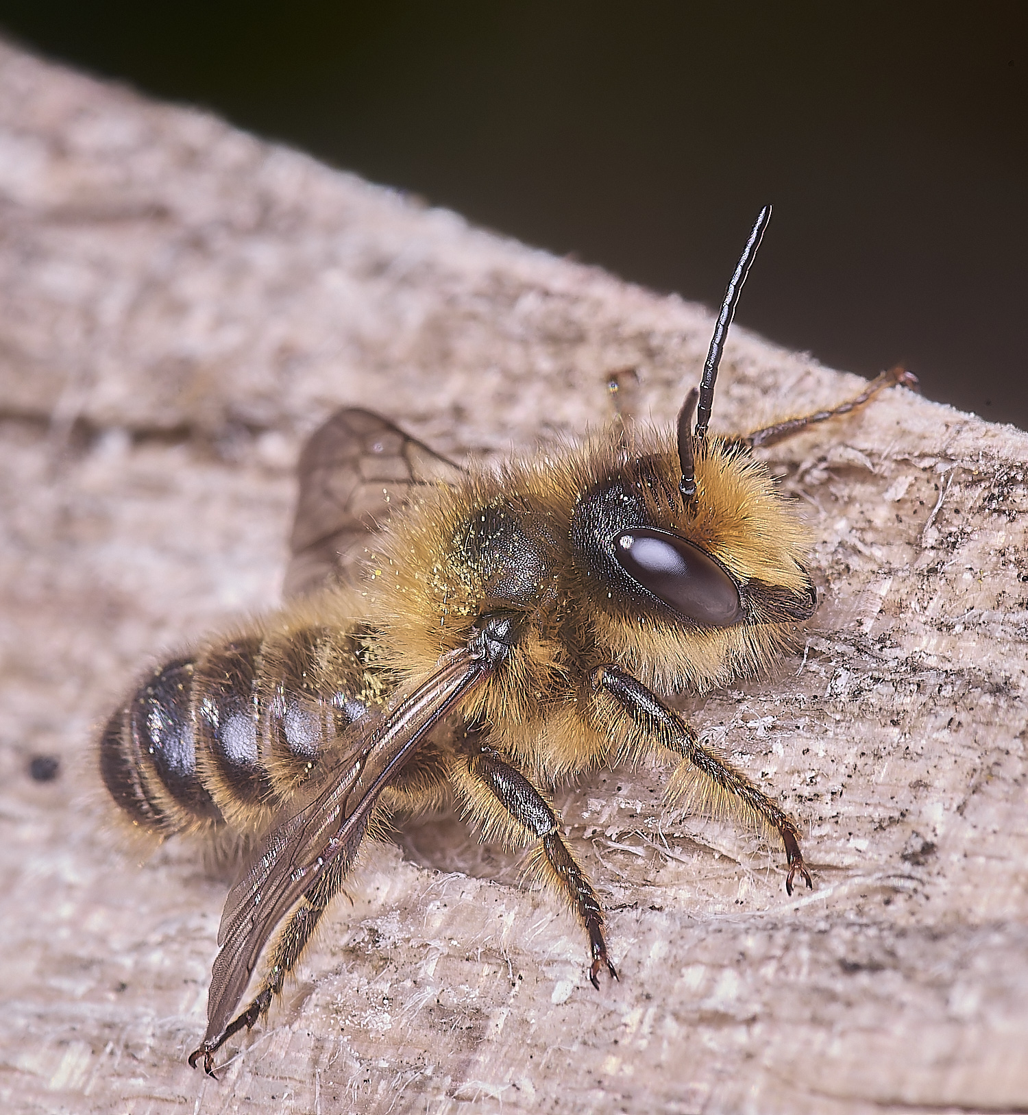 HanworthMligneseca280525-10