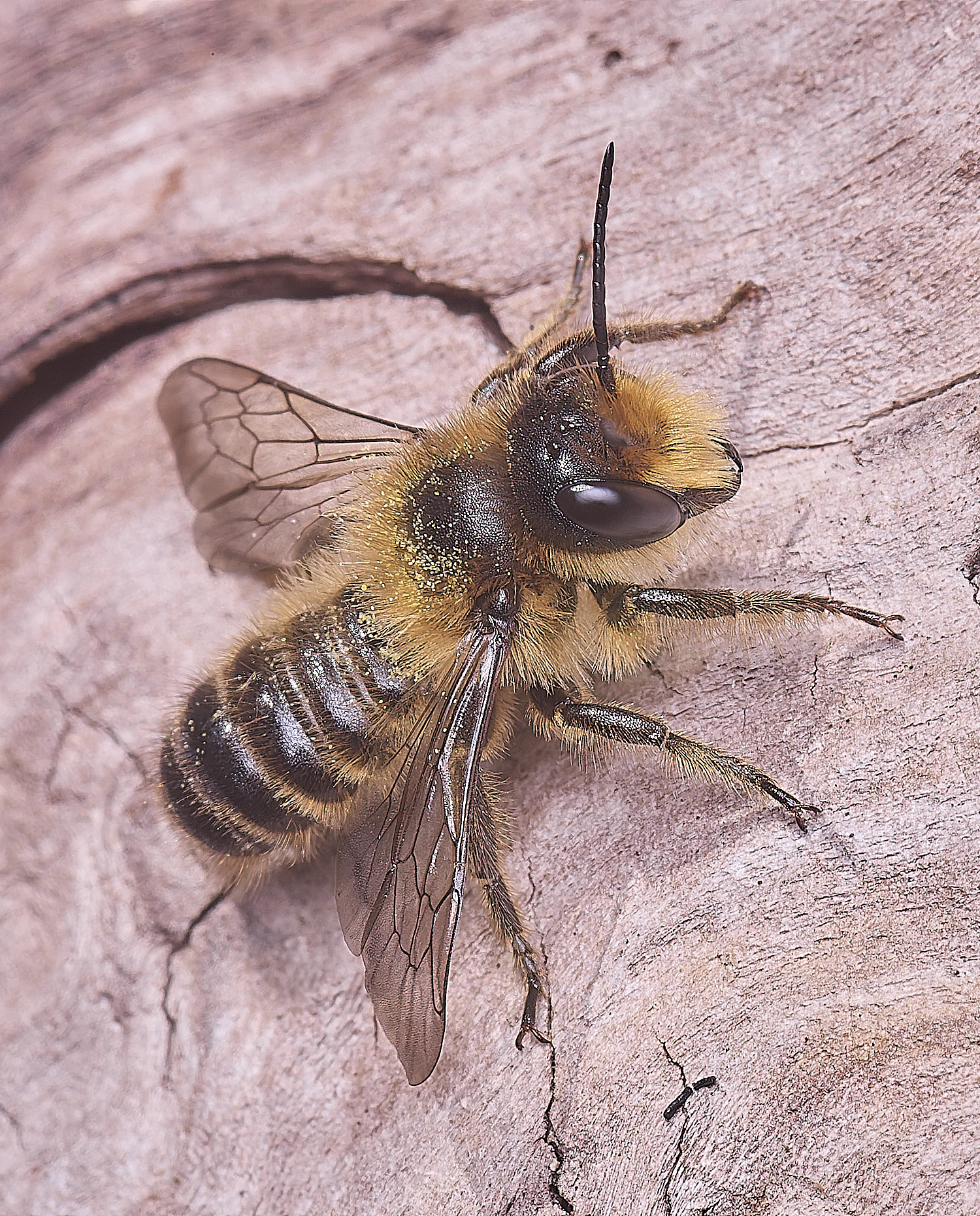 HanworthMligneseca280525-2