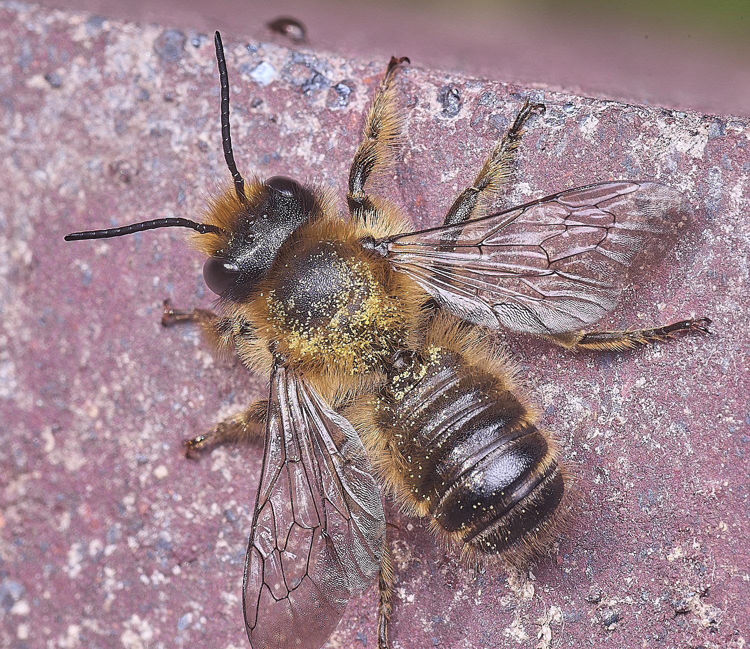 HanworthMligneseca280525-3