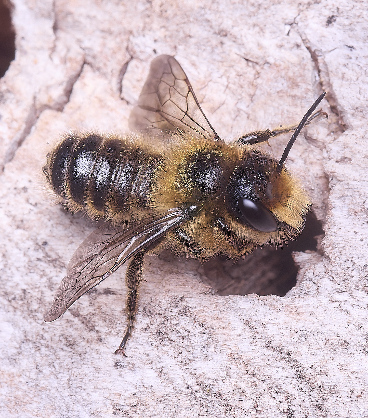 HanworthMligneseca280525-5