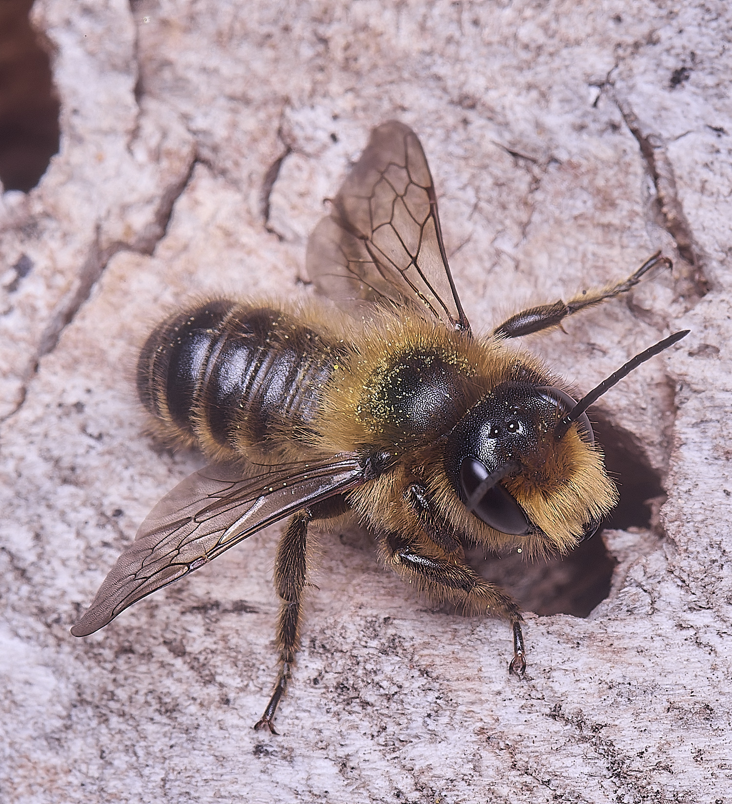 HanworthMligneseca280525-6