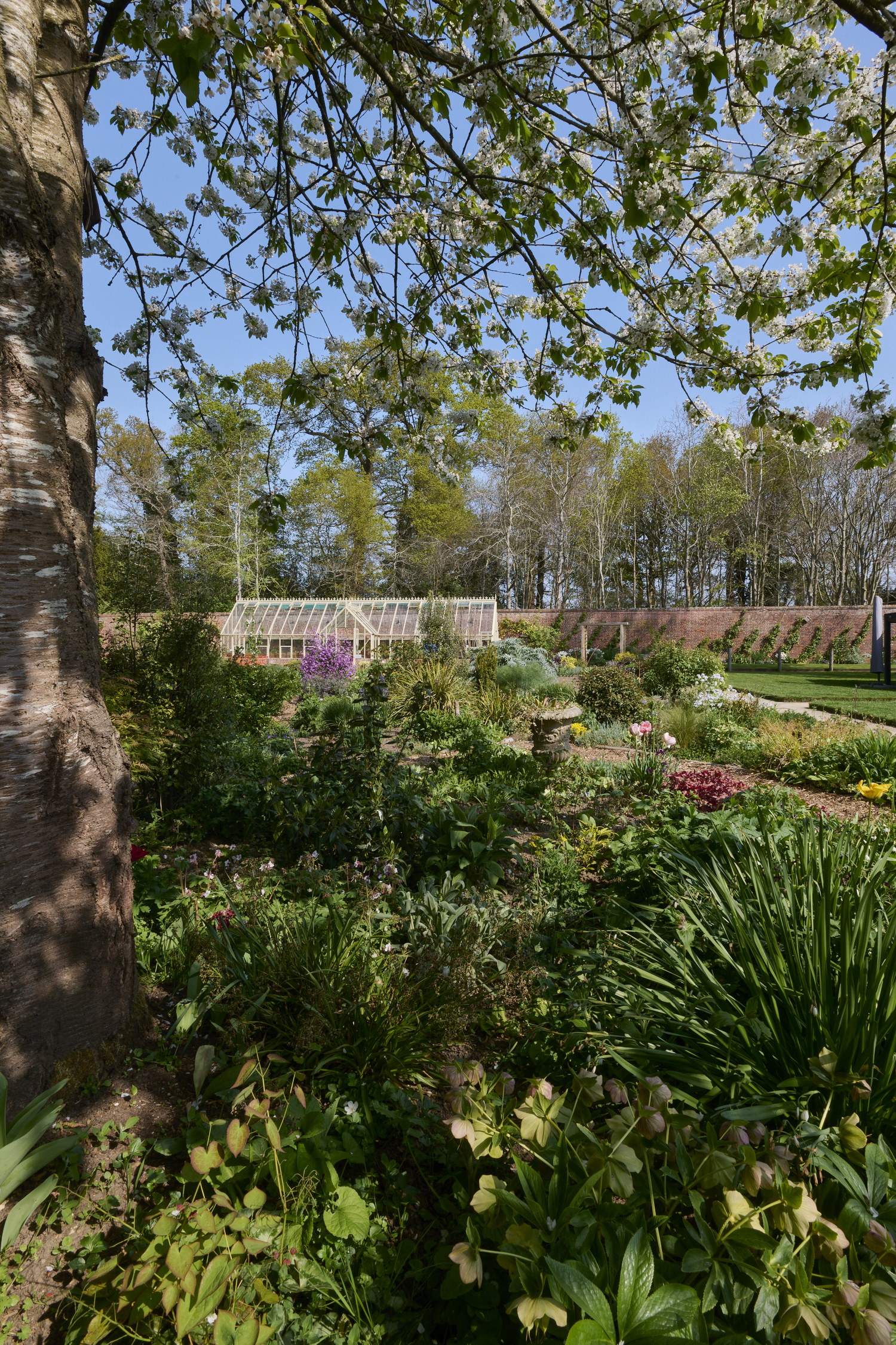 LittlePlumsteadGarden270425-2