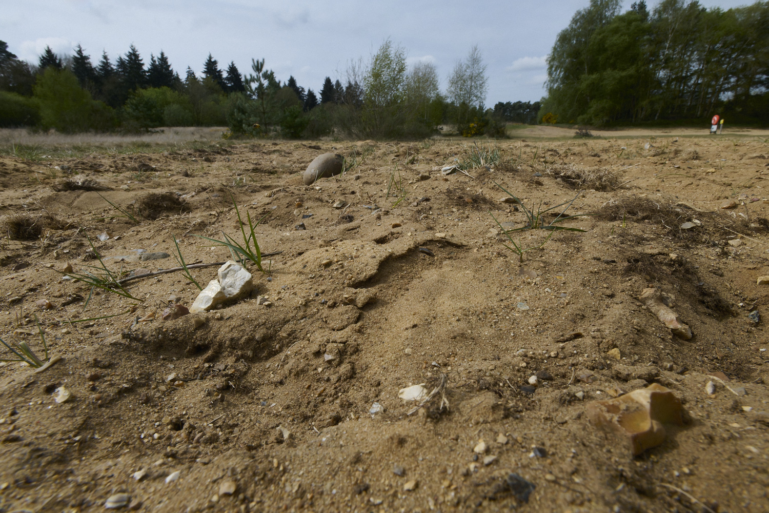 LynfordEarlyColletes190425-14