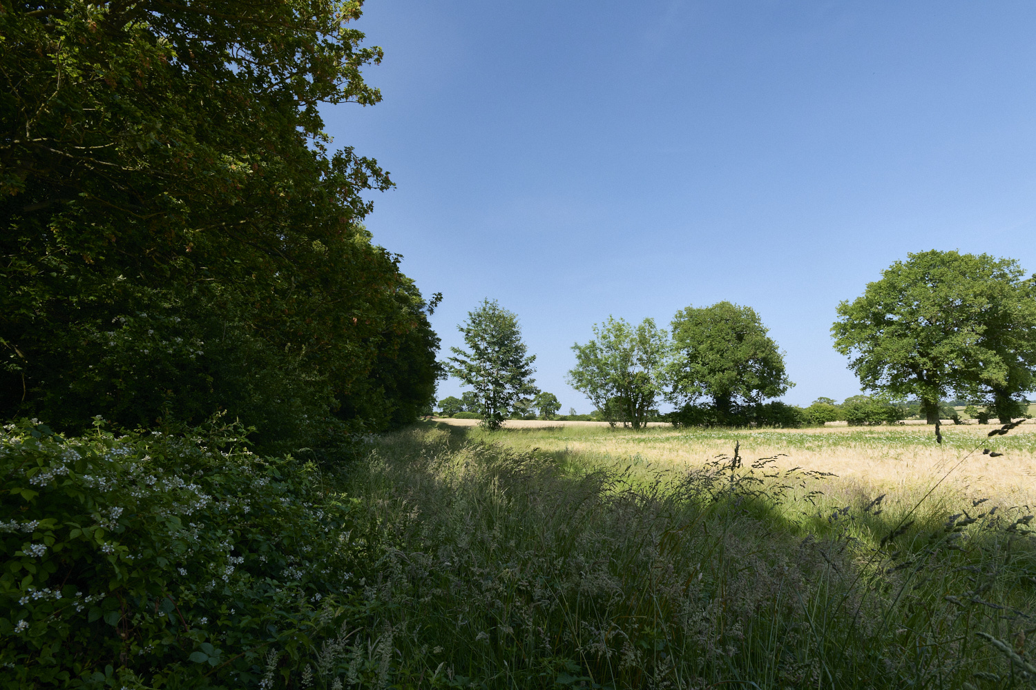 NorthNorfolk170625-1