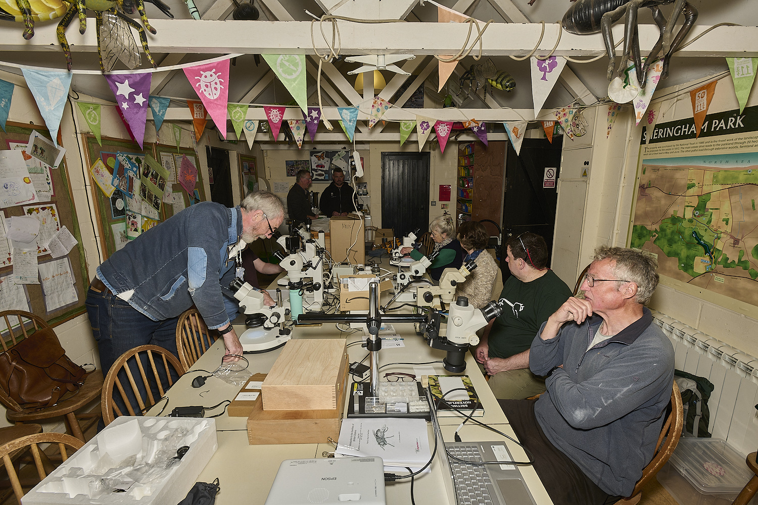 SheringhamParkDiptera170525-1