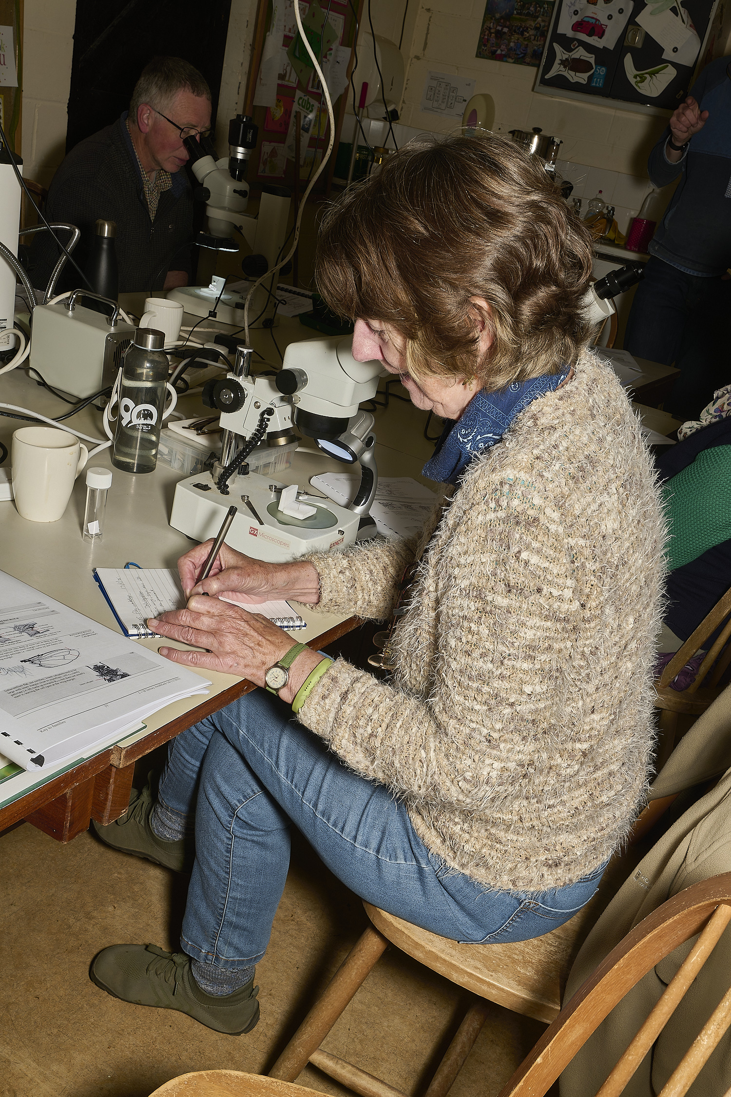 SheringhamParkDiptera170525-10