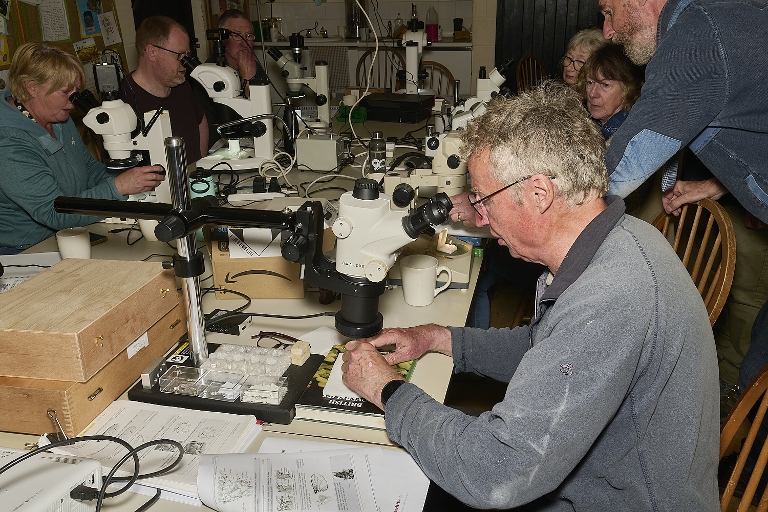 SheringhamParkDiptera170525-11