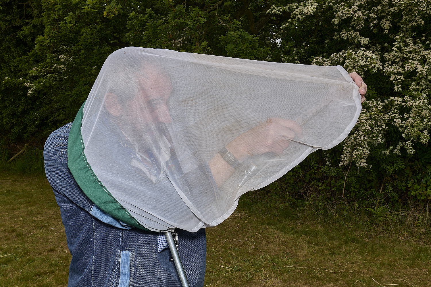 SheringhamParkDiptera170525-18