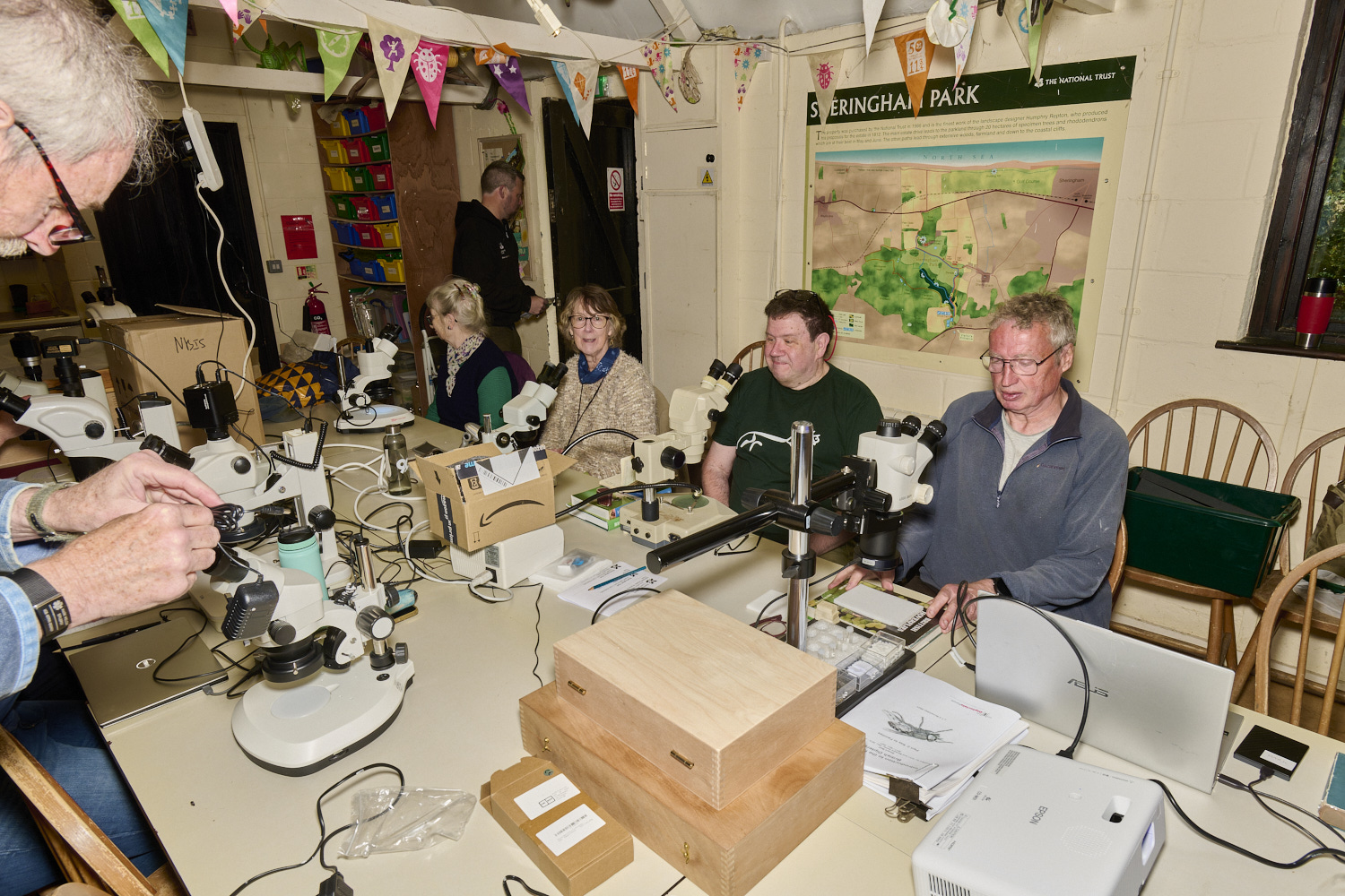 SheringhamParkDiptera170525-2