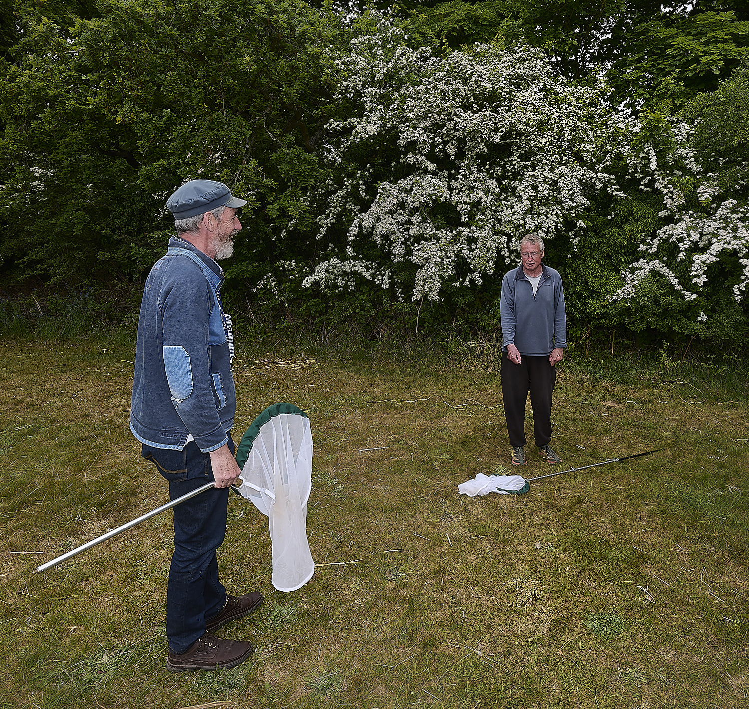 SheringhamParkDiptera170525-20