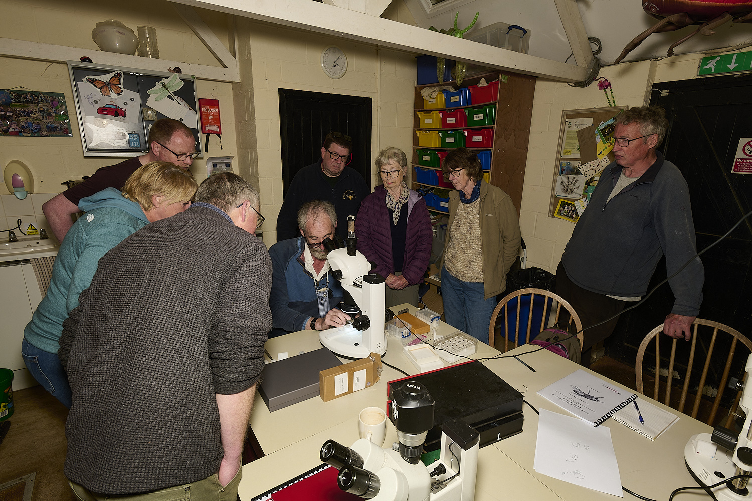 SheringhamParkDiptera170525-22