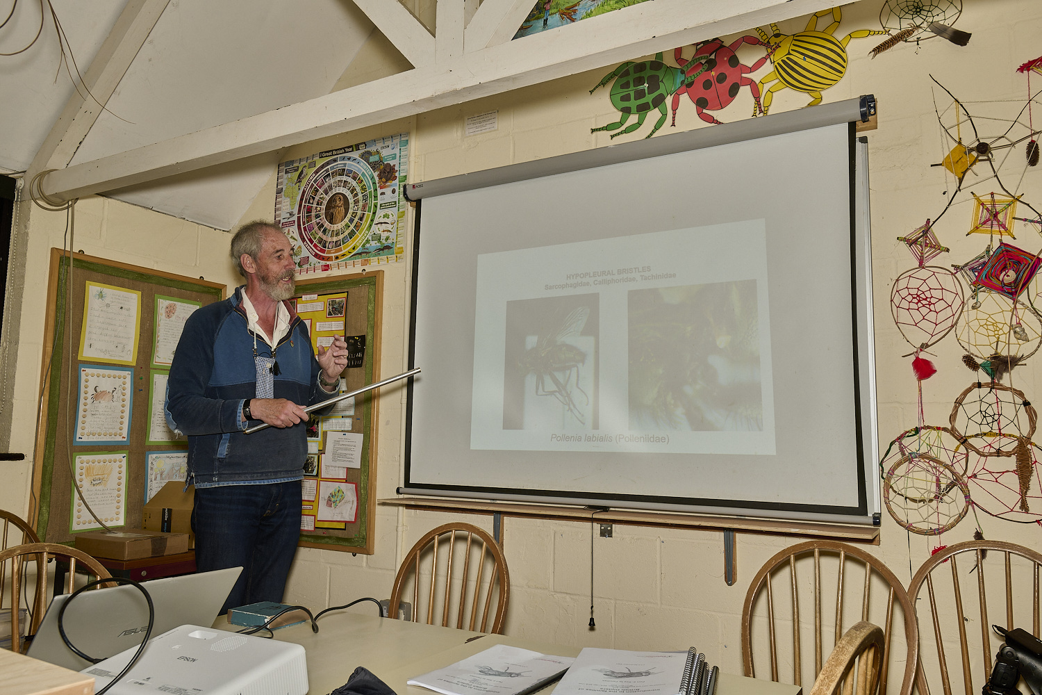 SheringhamParkDiptera170525-3