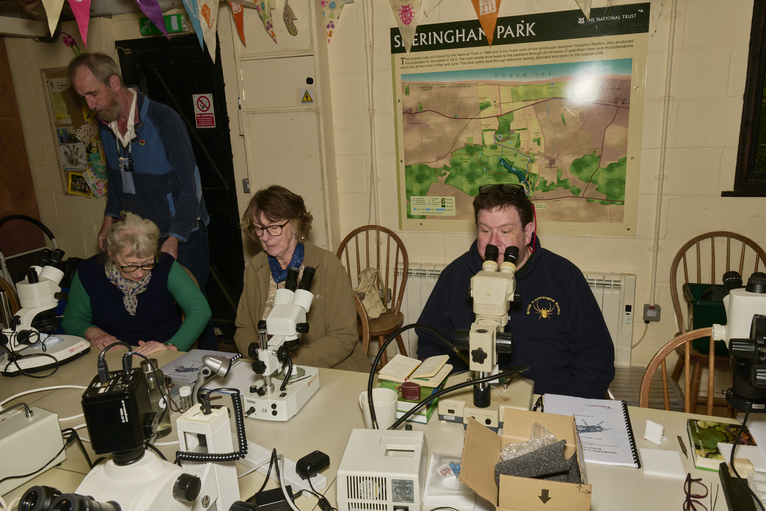 SheringhamParkDiptera170525-5