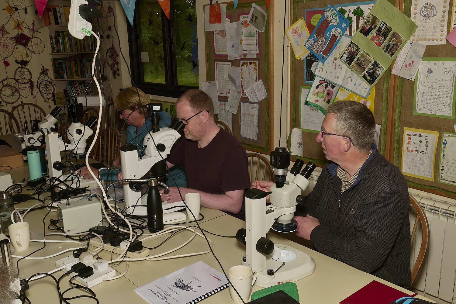 SheringhamParkDiptera170525-8