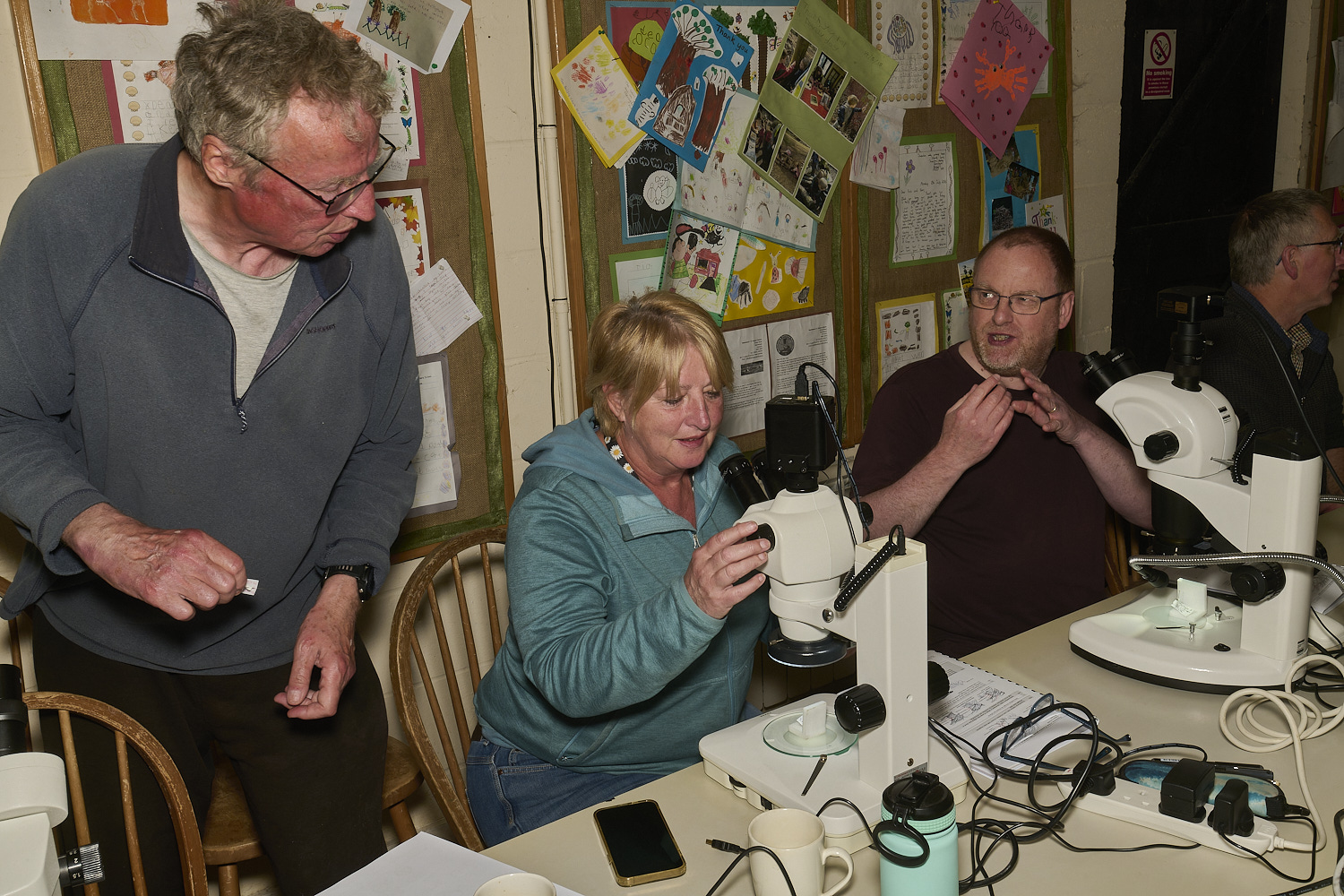 SheringhamParkDiptera170525-9