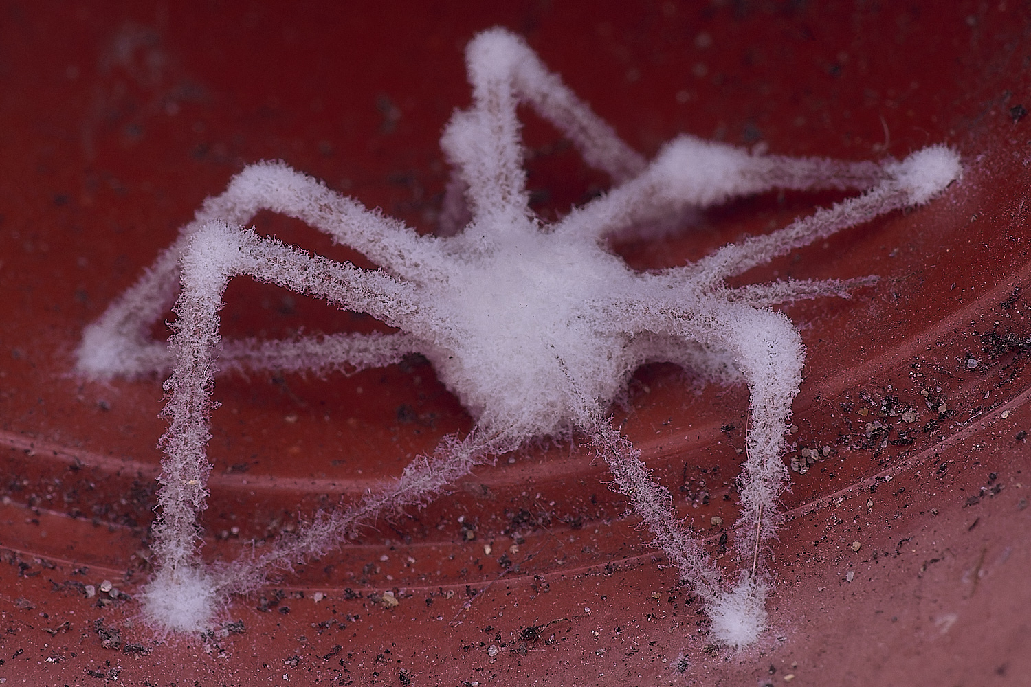 Show&#38;Tell130425-2