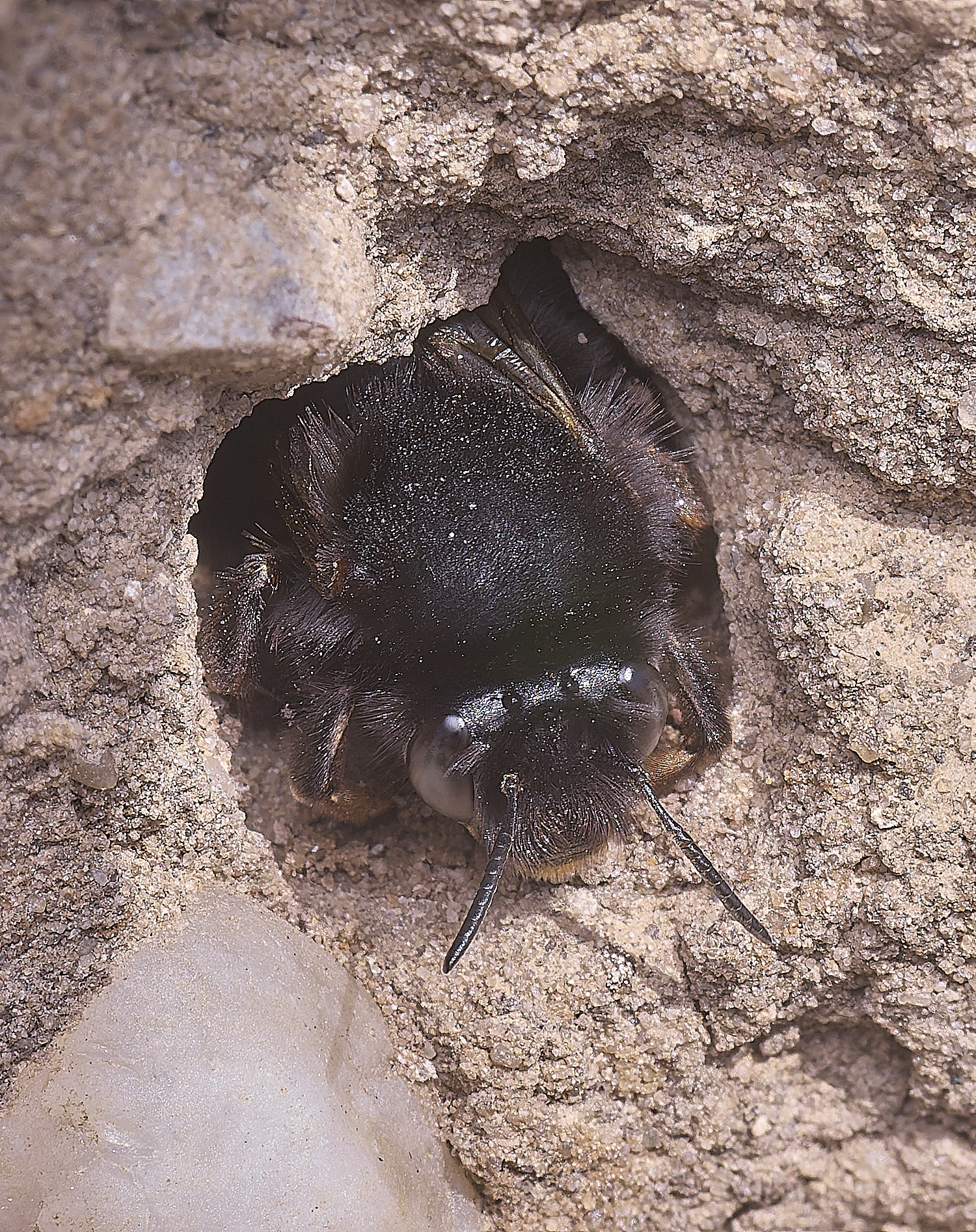 WeybourneHFFB070425-5