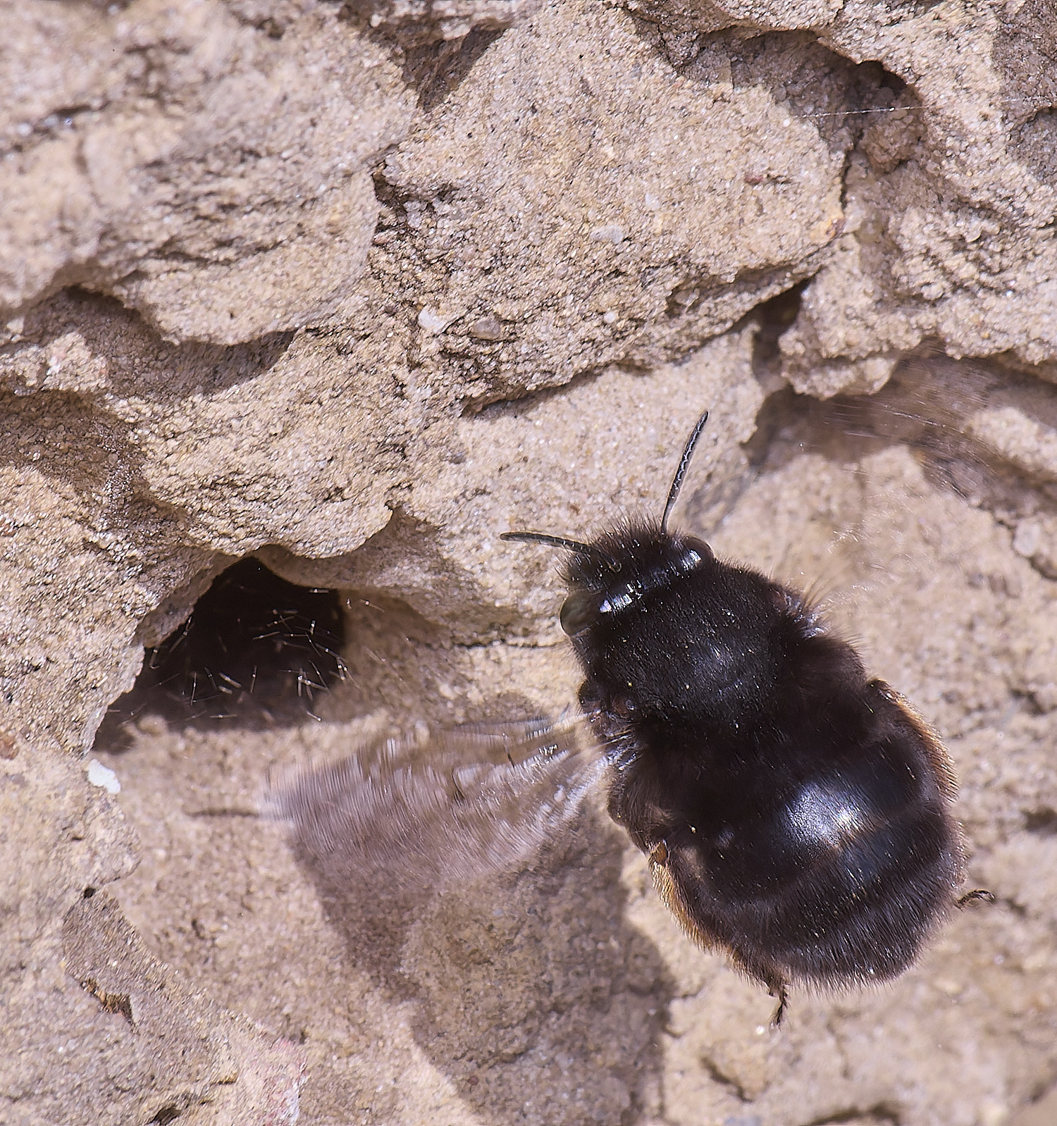 WeybourneHFFB070425-6